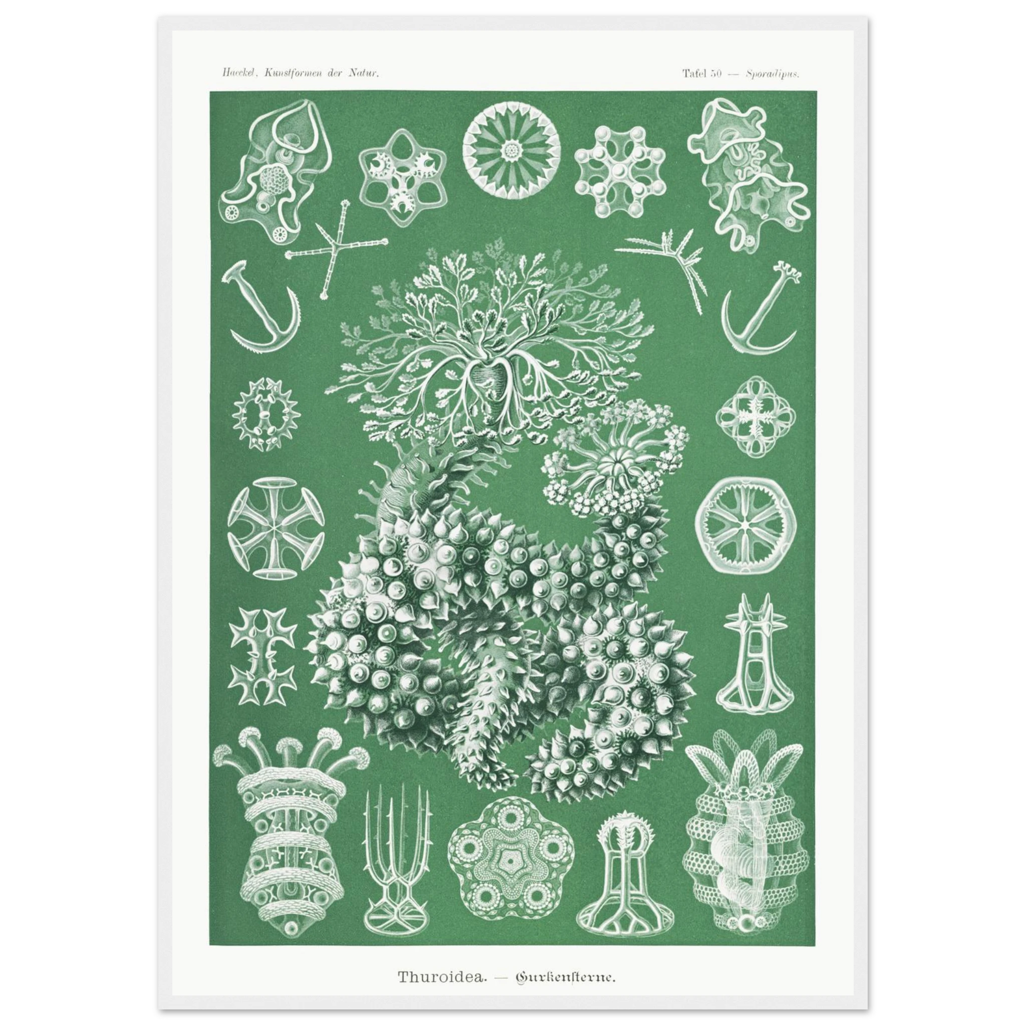 767c61ac-46fa-4552-bc03-cc7c2df7d4cc