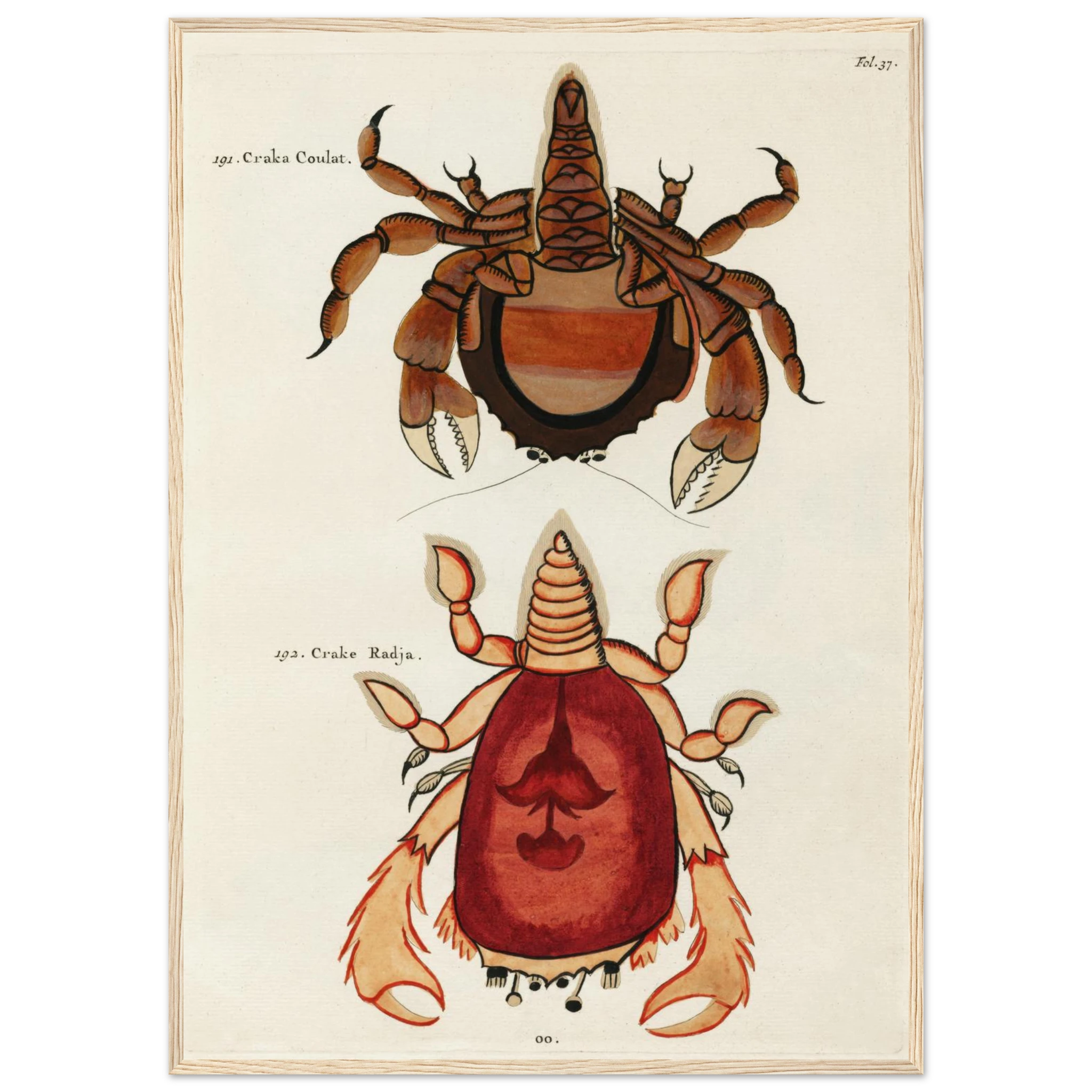 769d8cd1-85c4-444c-aa77-7b6b79be4992