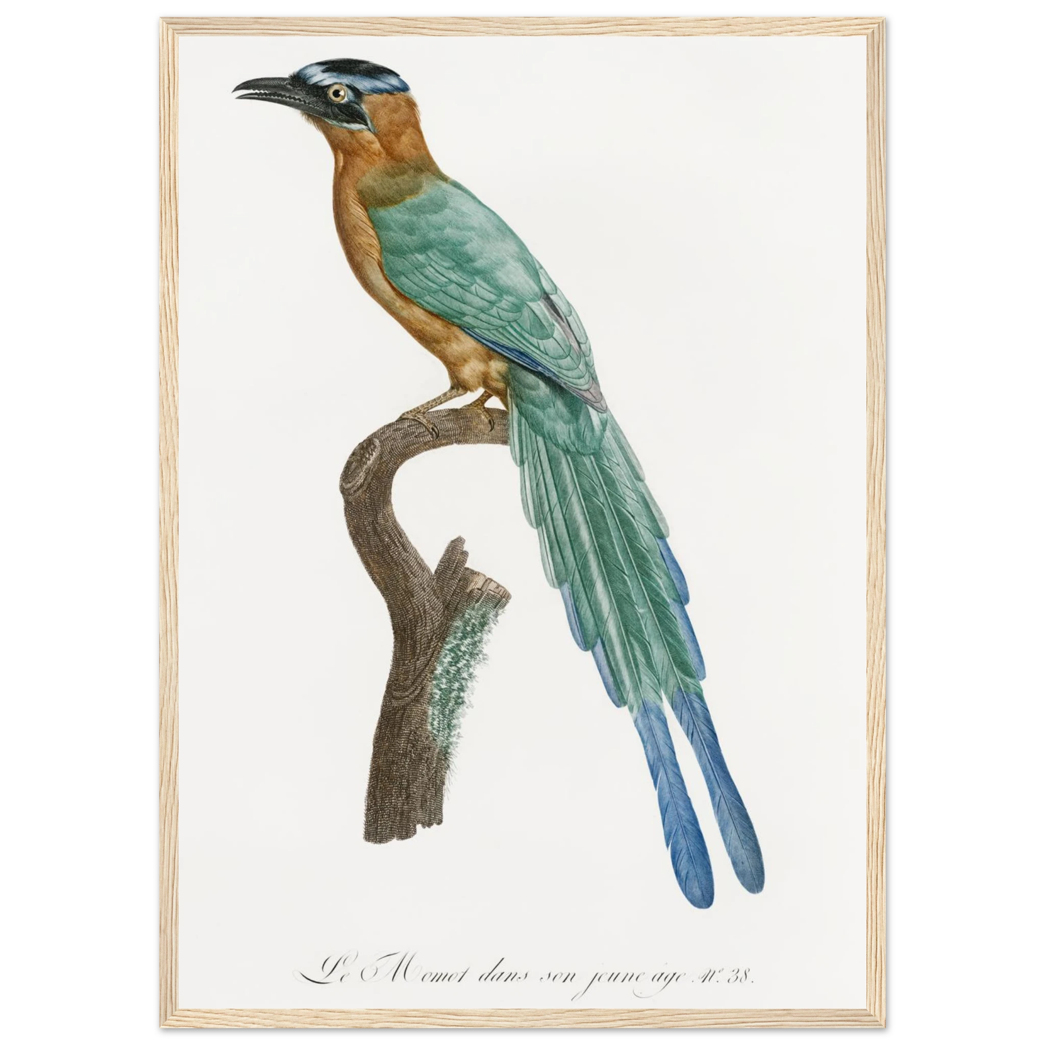 771228a2-b337-4750-aa85-90204cab6b7f