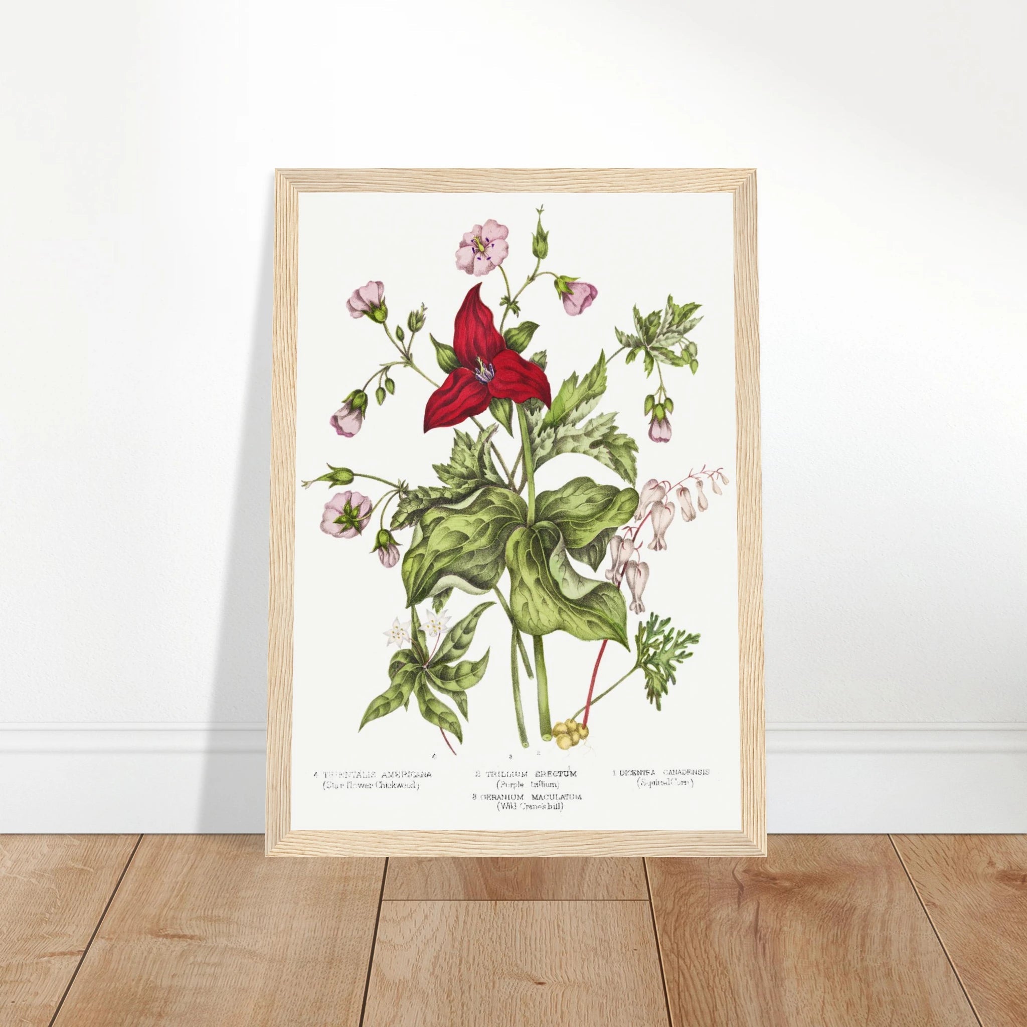 772af563-5bfe-431c-8049-5564b5bc431a