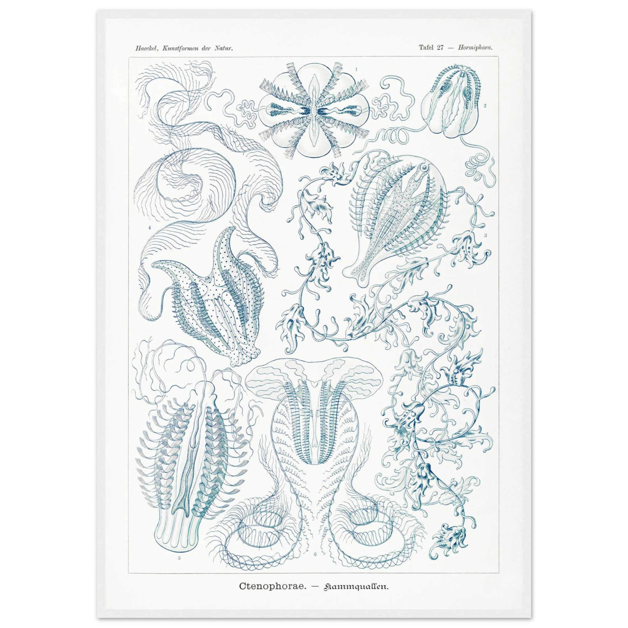 776cb789-8dea-449b-82a6-31e3205a7ccb