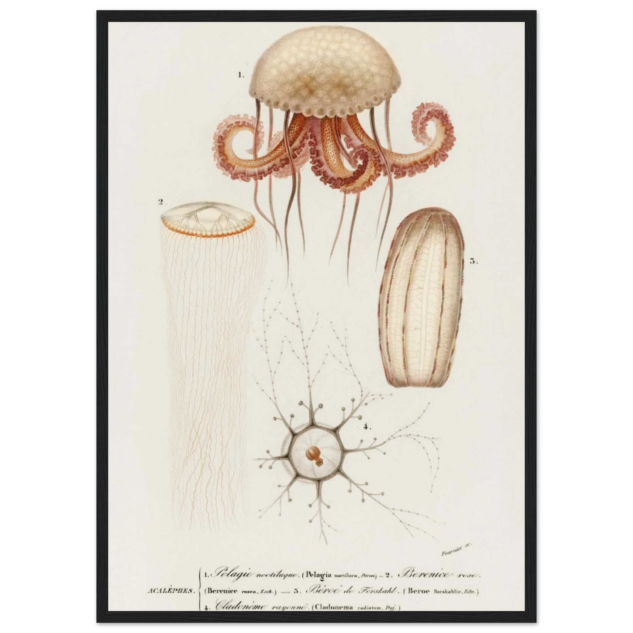 7772769b-201c-492e-8c52-cc4975ec9187