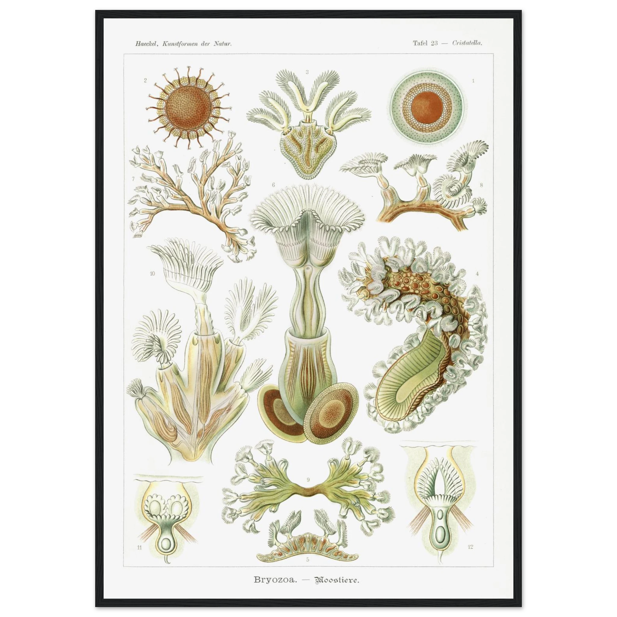 7776e311-5c8a-41cb-84c9-1875c7c3487c