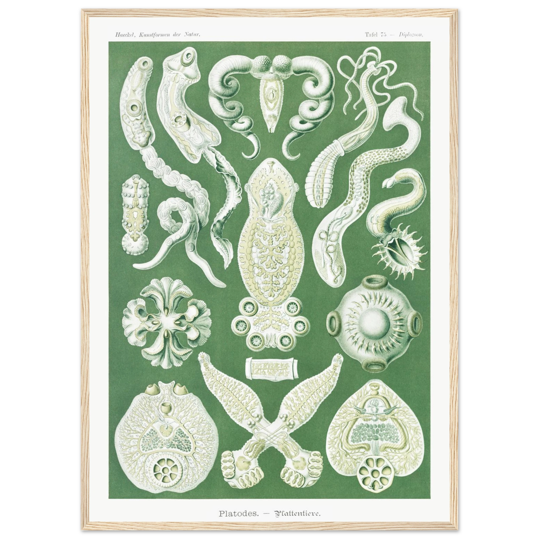 777aeb7a-d171-459f-8366-3283b935ae8b