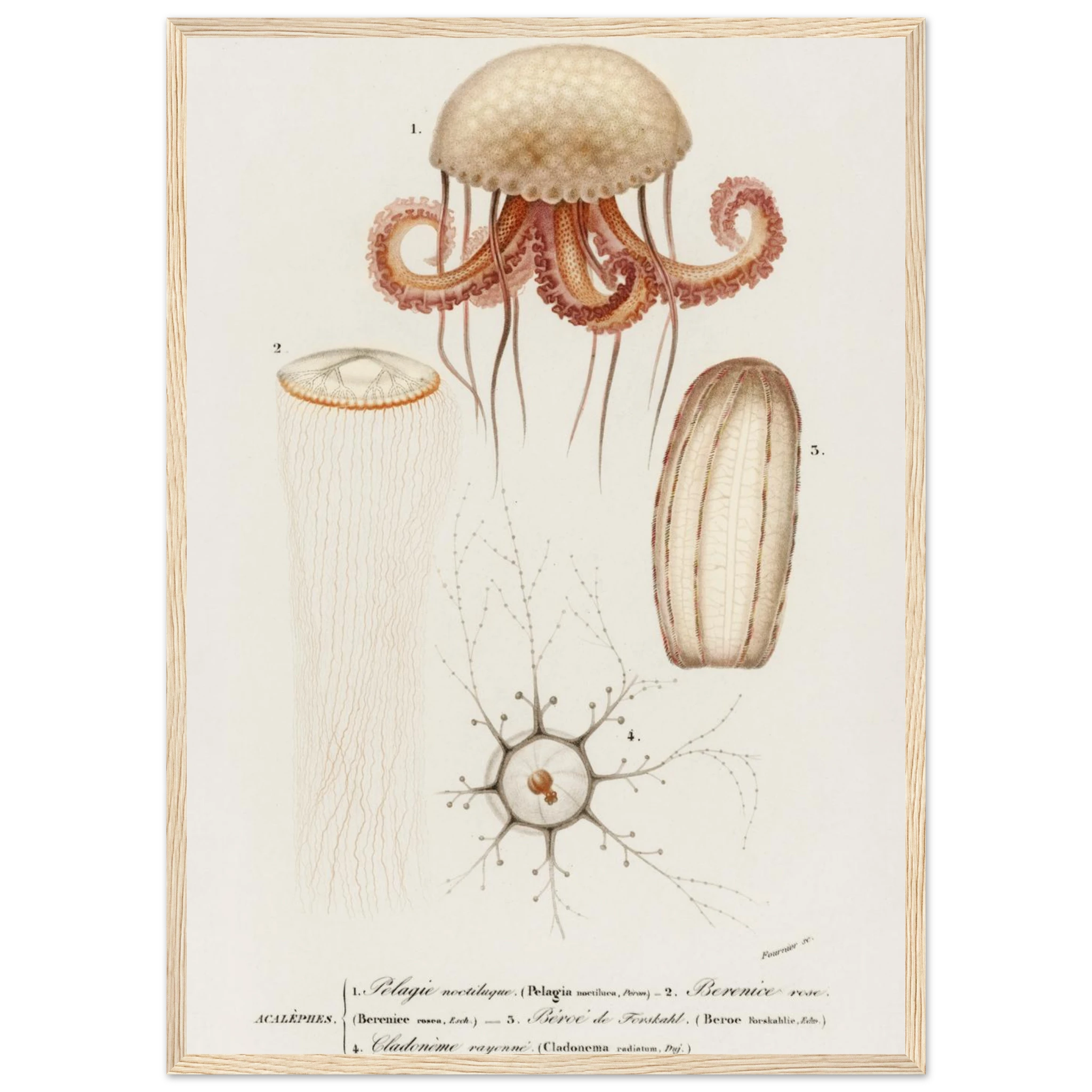 77adf549-a5c8-409b-8db8-e69c7278ba69