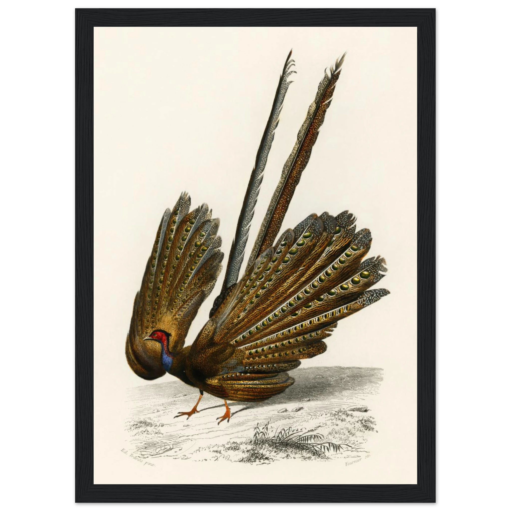 77e52edb-b3d0-4d9f-a8a3-ec2574bbd5ec