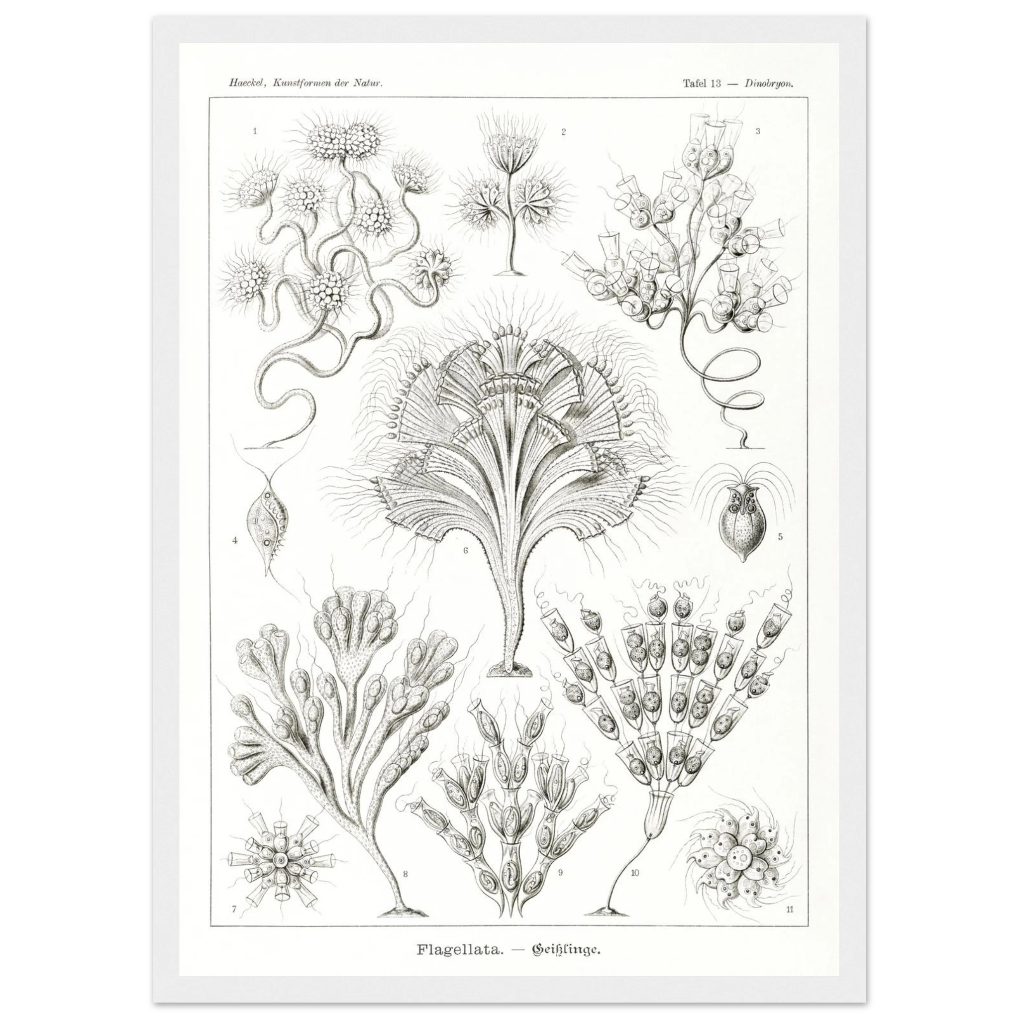 783d16c5-a1c2-4458-b981-61f00ffeb28c