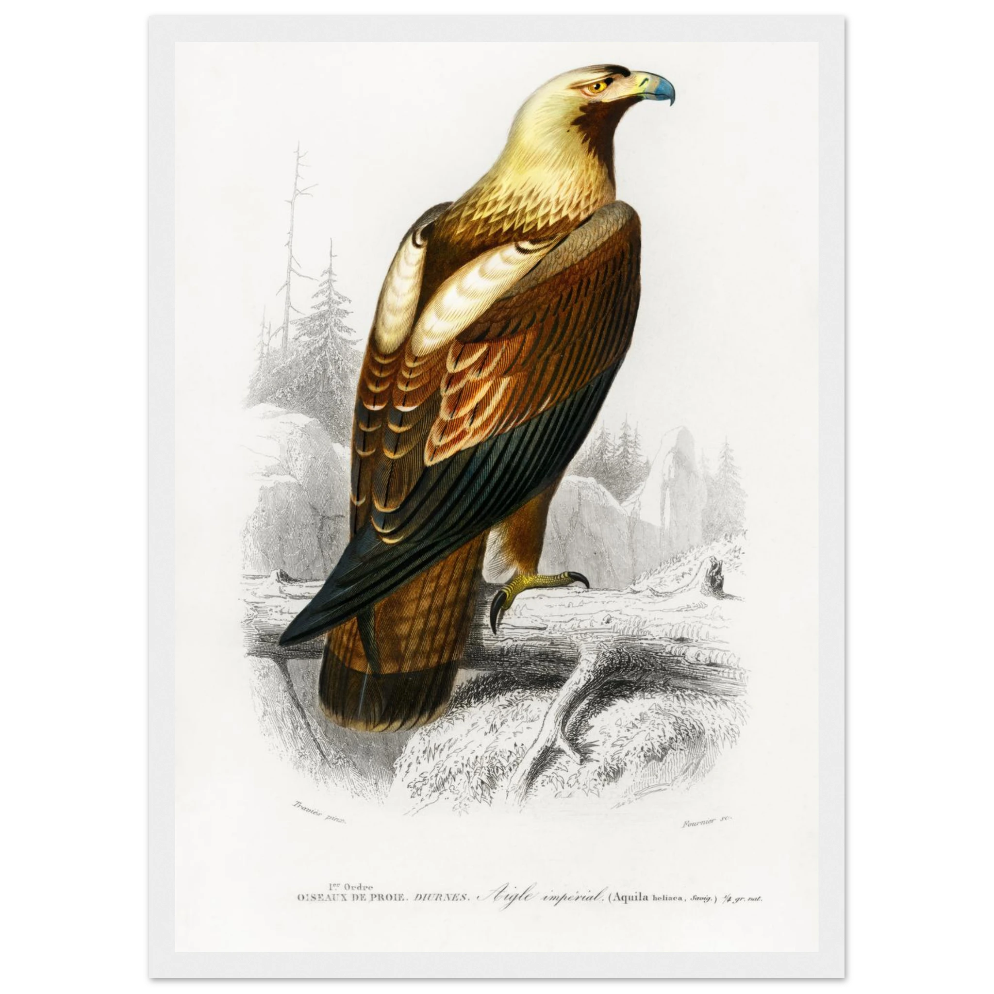 789bb9d5-10b5-4f74-a534-88100fe43d7b