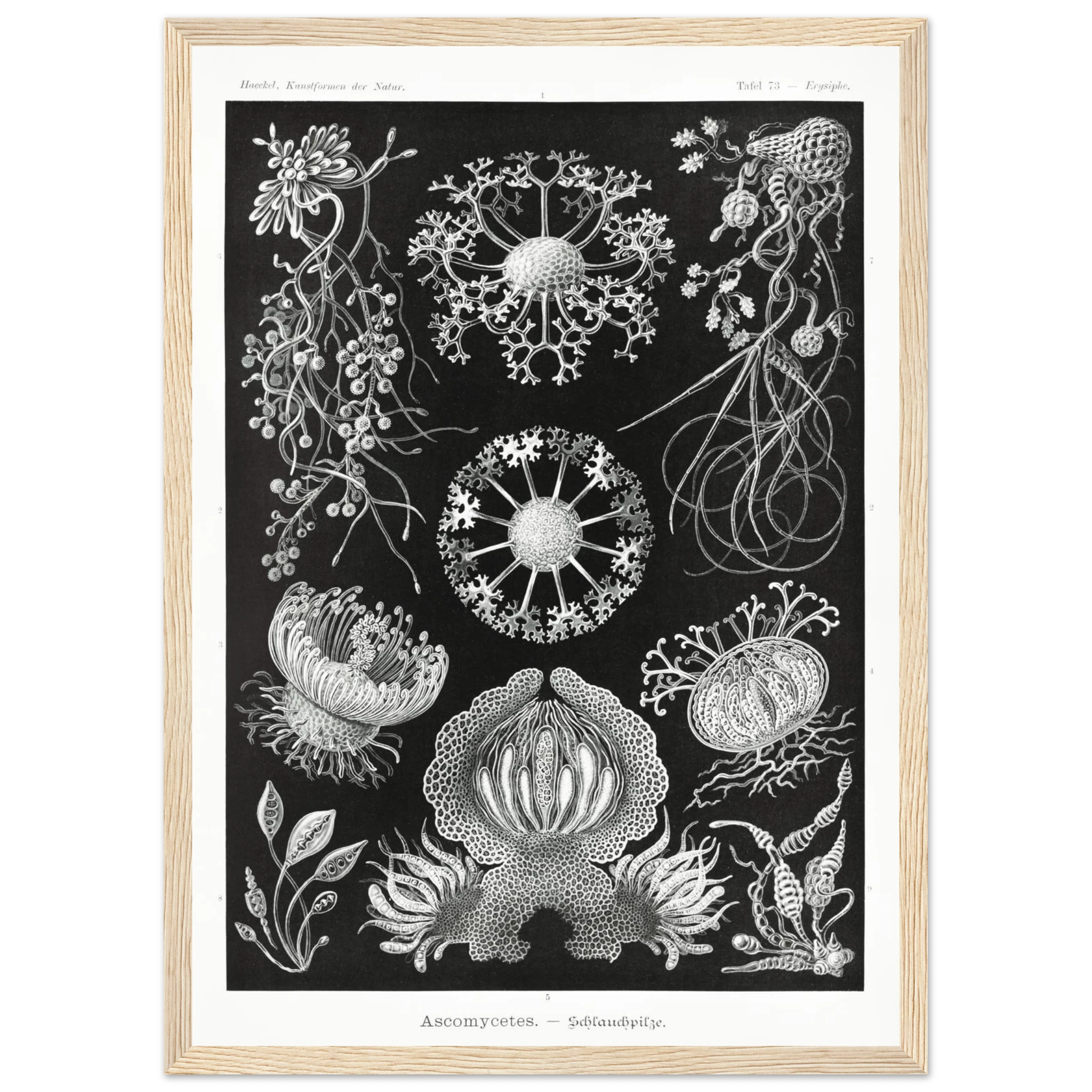 78e0014c-5a34-4ce2-9998-1126bfdaf611