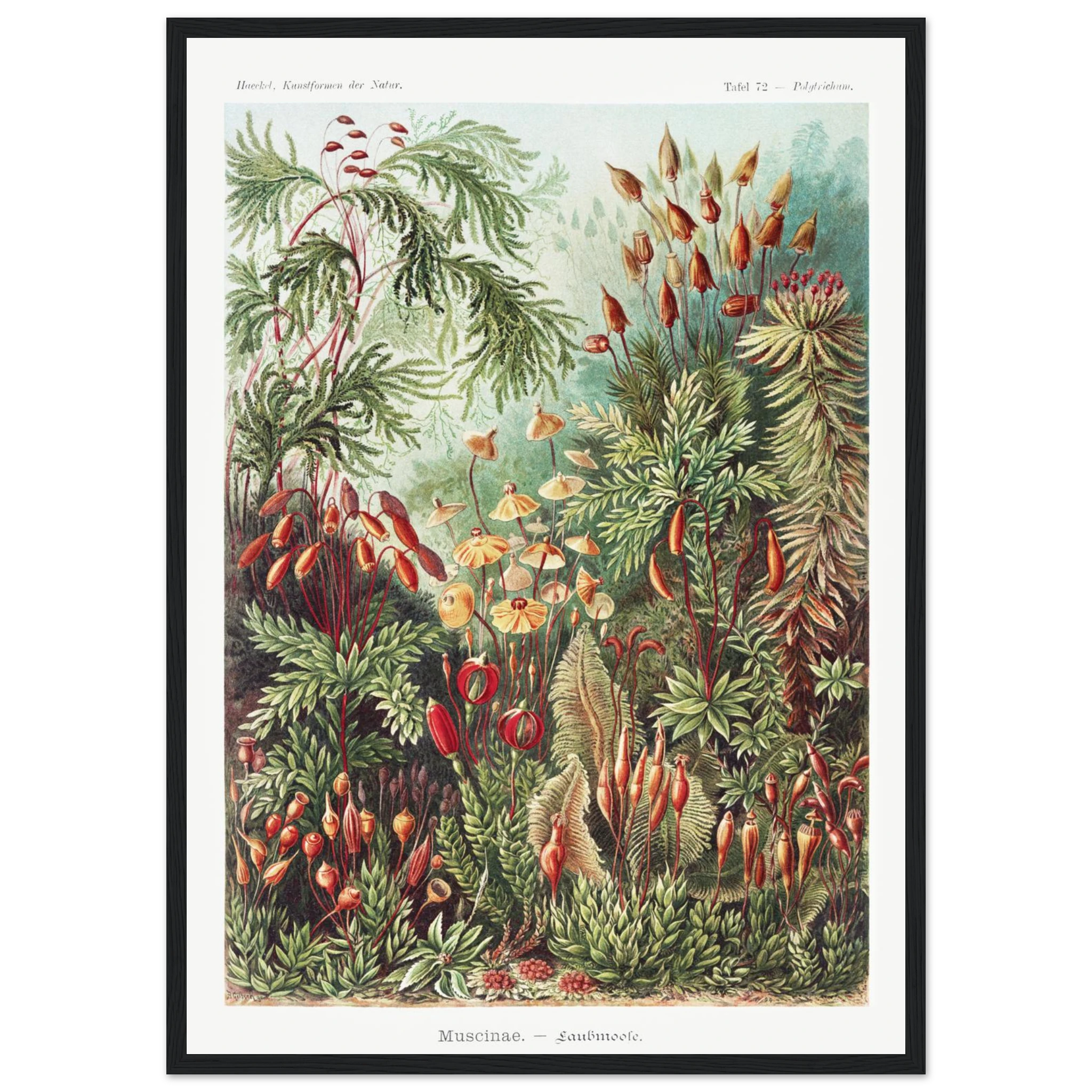 791a1a5c-5045-417c-a5d6-11f864baf966