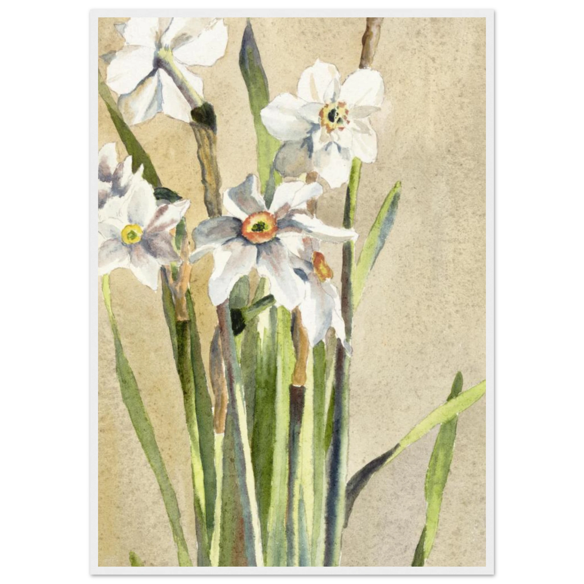 7941db08-da98-49e9-8ca6-9ed9b5fe18af