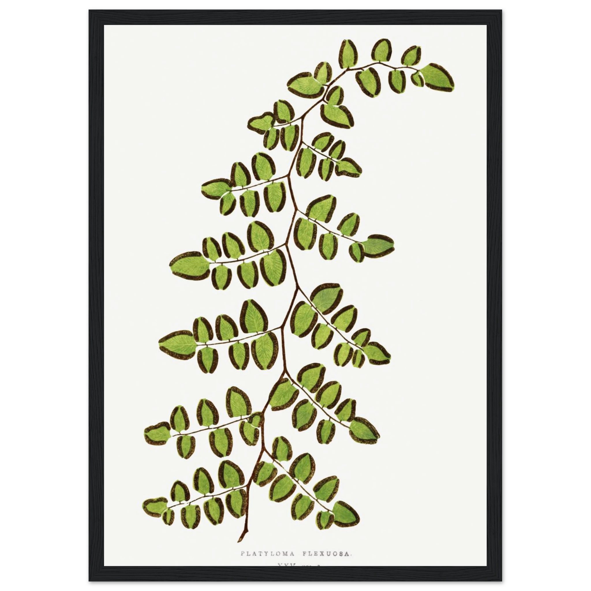 79635521-ebd0-42ff-88b9-673158865d05