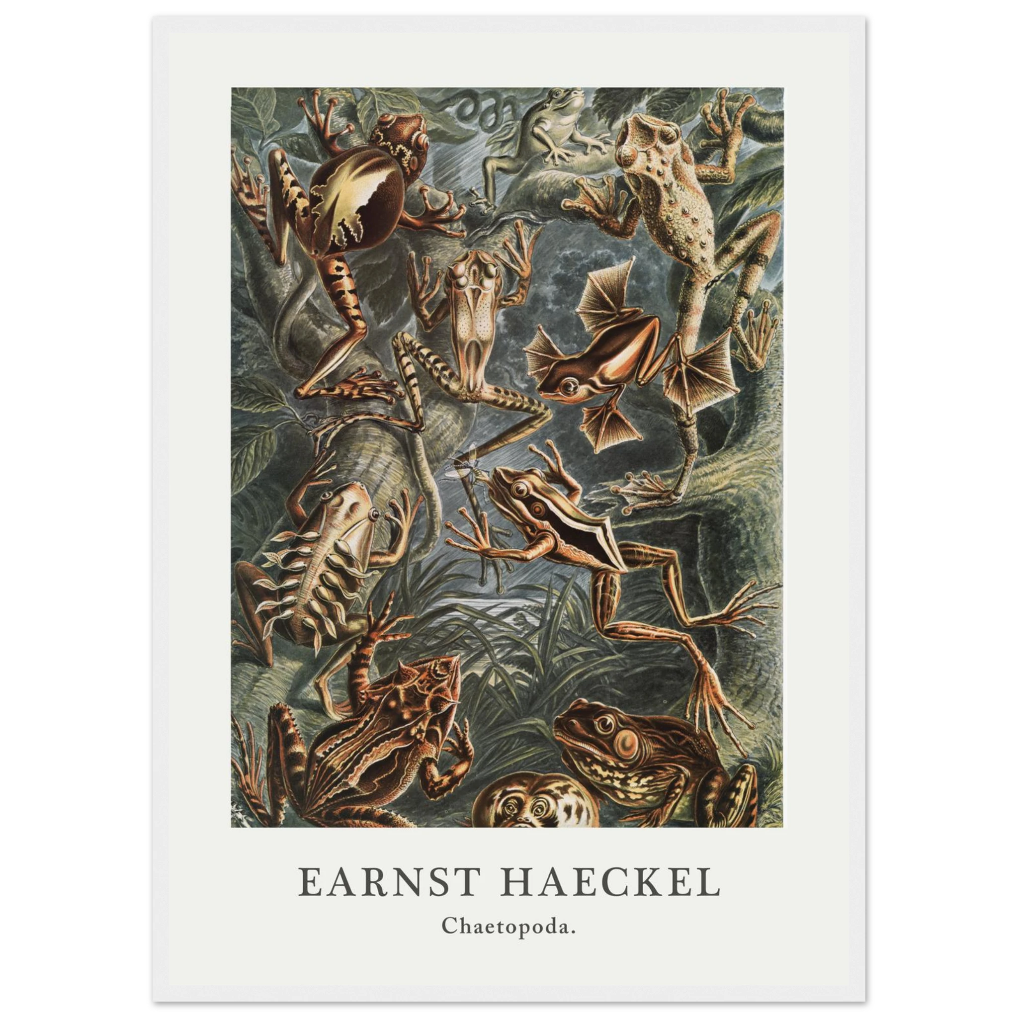 79fbf765-a0f4-4337-9659-338f3e672b73