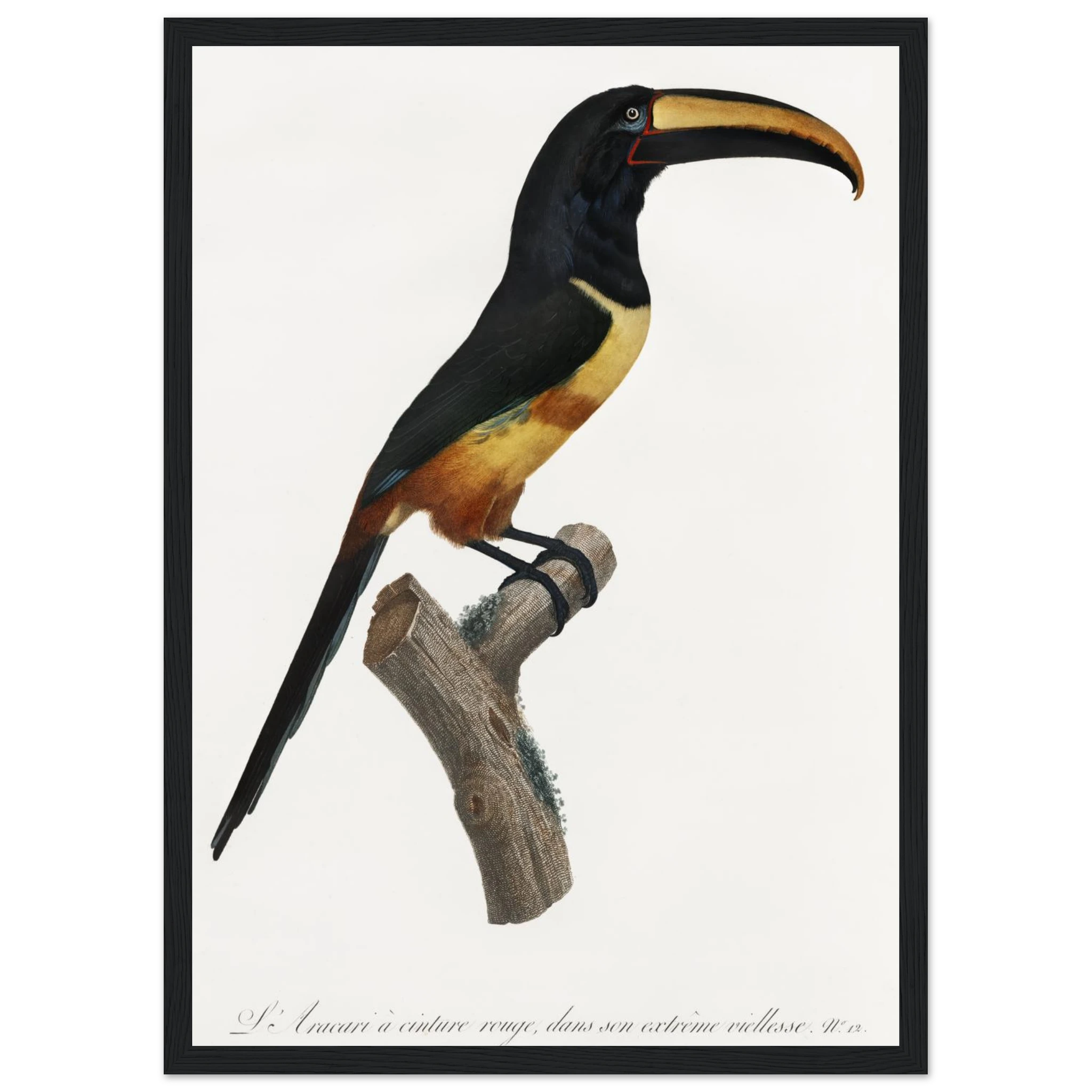 7a1900d8-fe59-4201-8fe6-99043cde1bbb