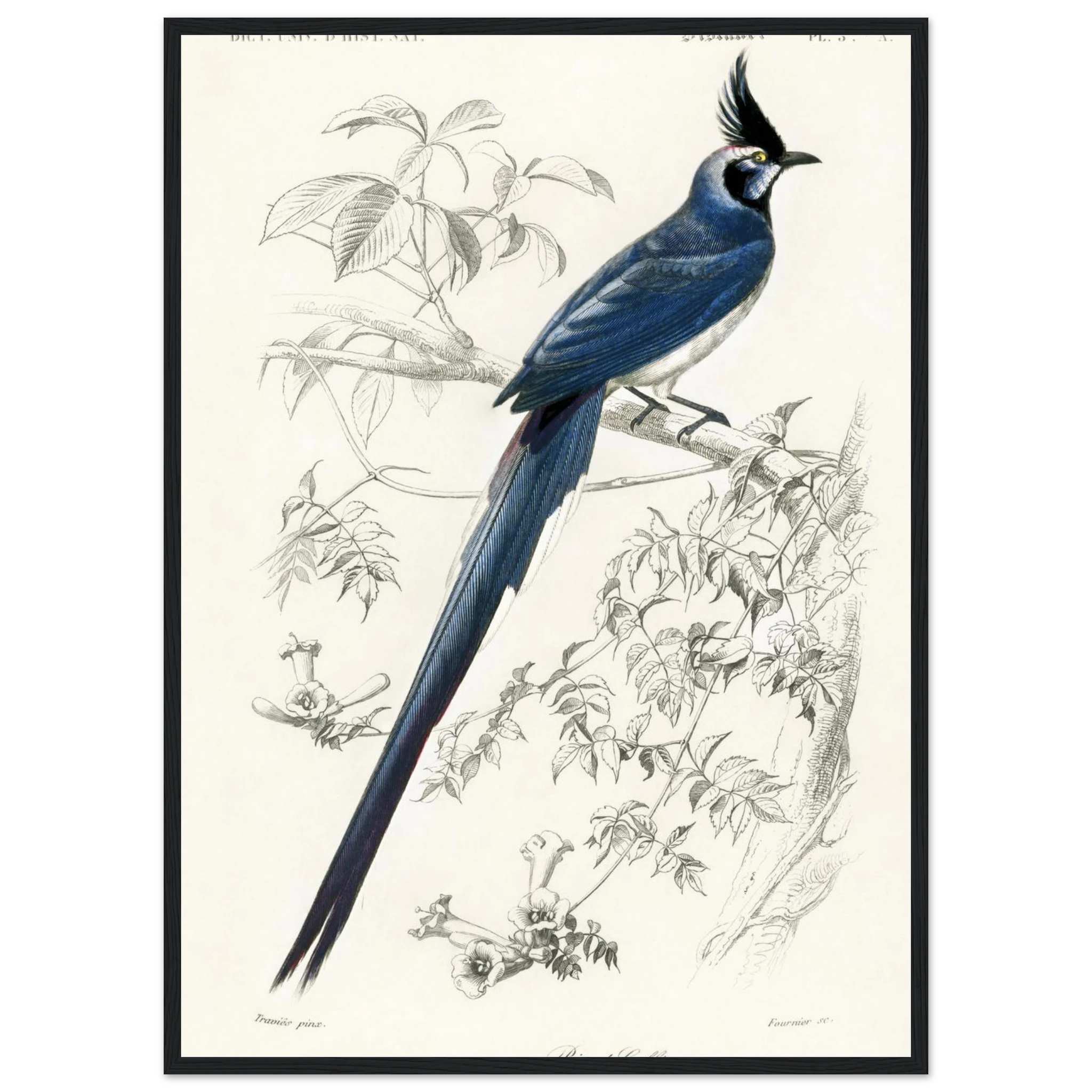 7ac4780b-b901-4f4b-9929-0a8e0c819134