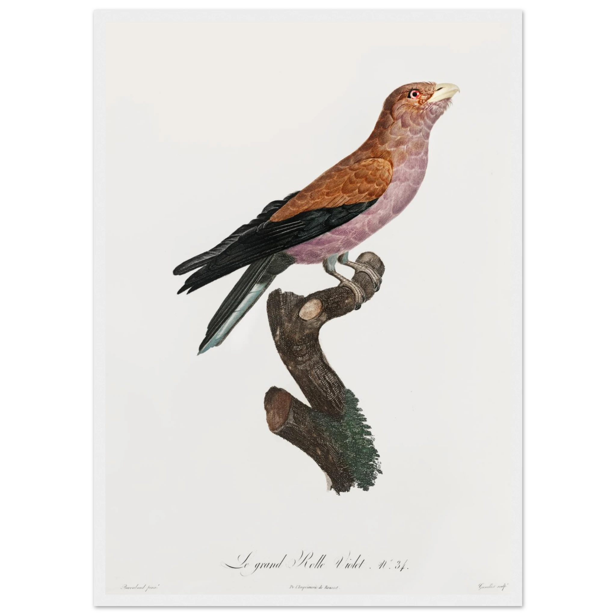 7acc9815-d57e-4fd7-ab38-5f44100d008e