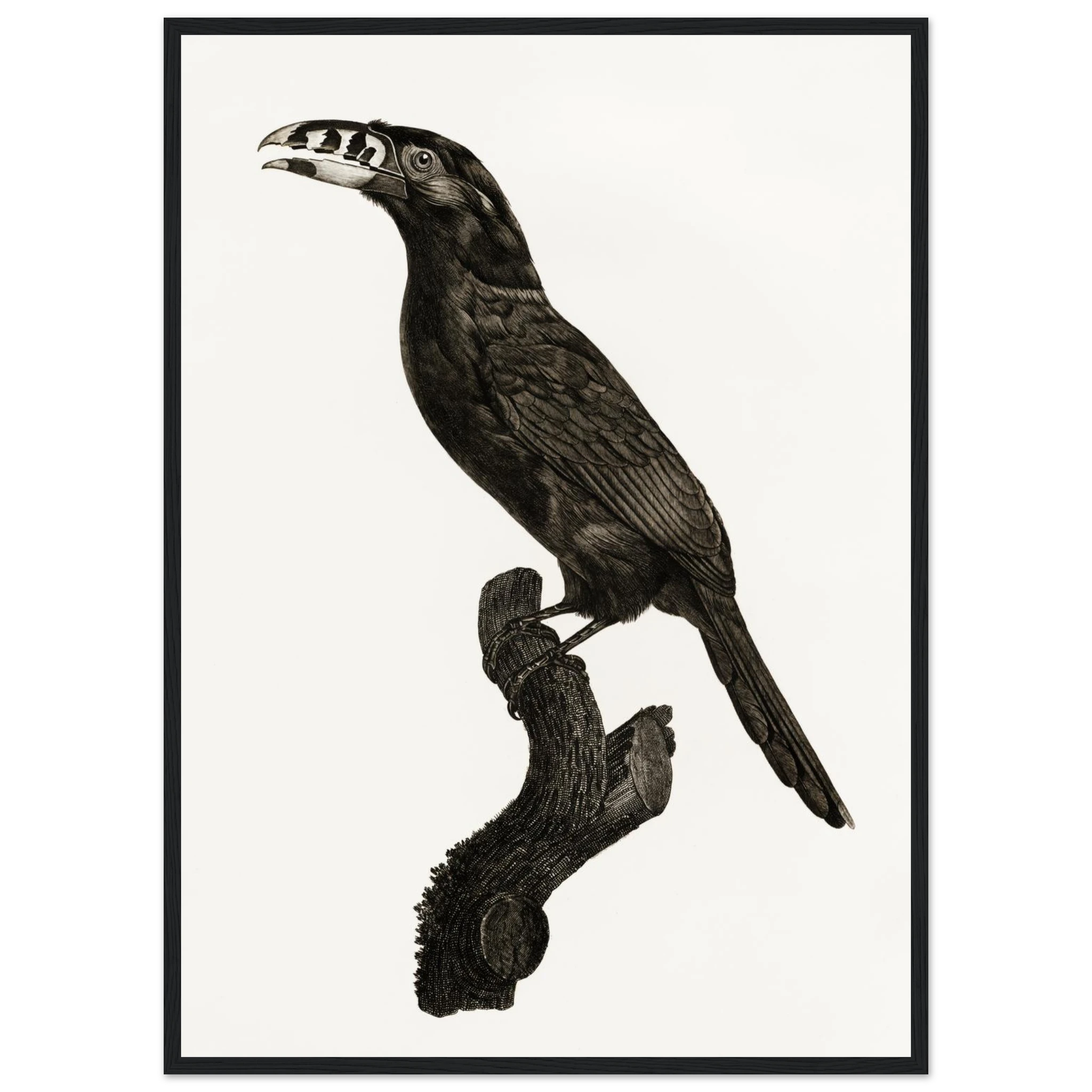 7ad61fe5-fc6f-4a3a-b158-64d2996026aa