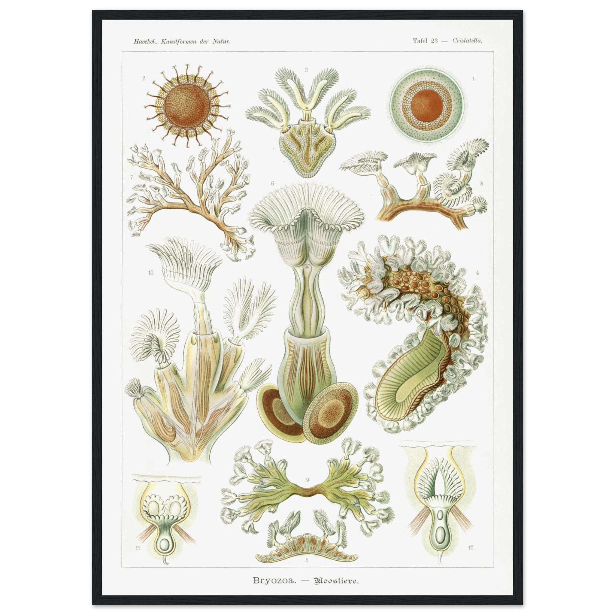 7b03418c-fb99-40c8-aa16-f3399f052500