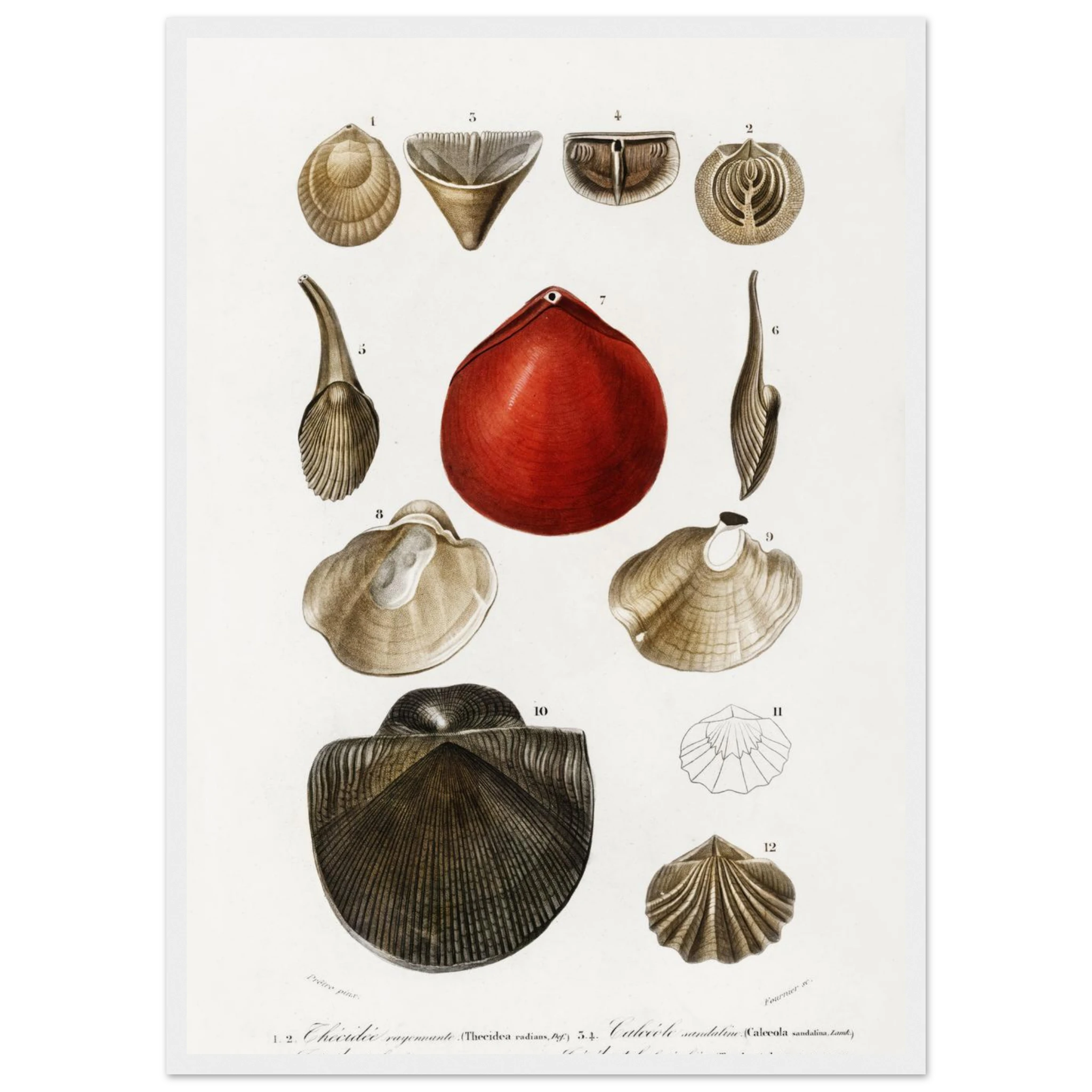 7b16757f-d4fa-4622-8f3a-0d8711b70388