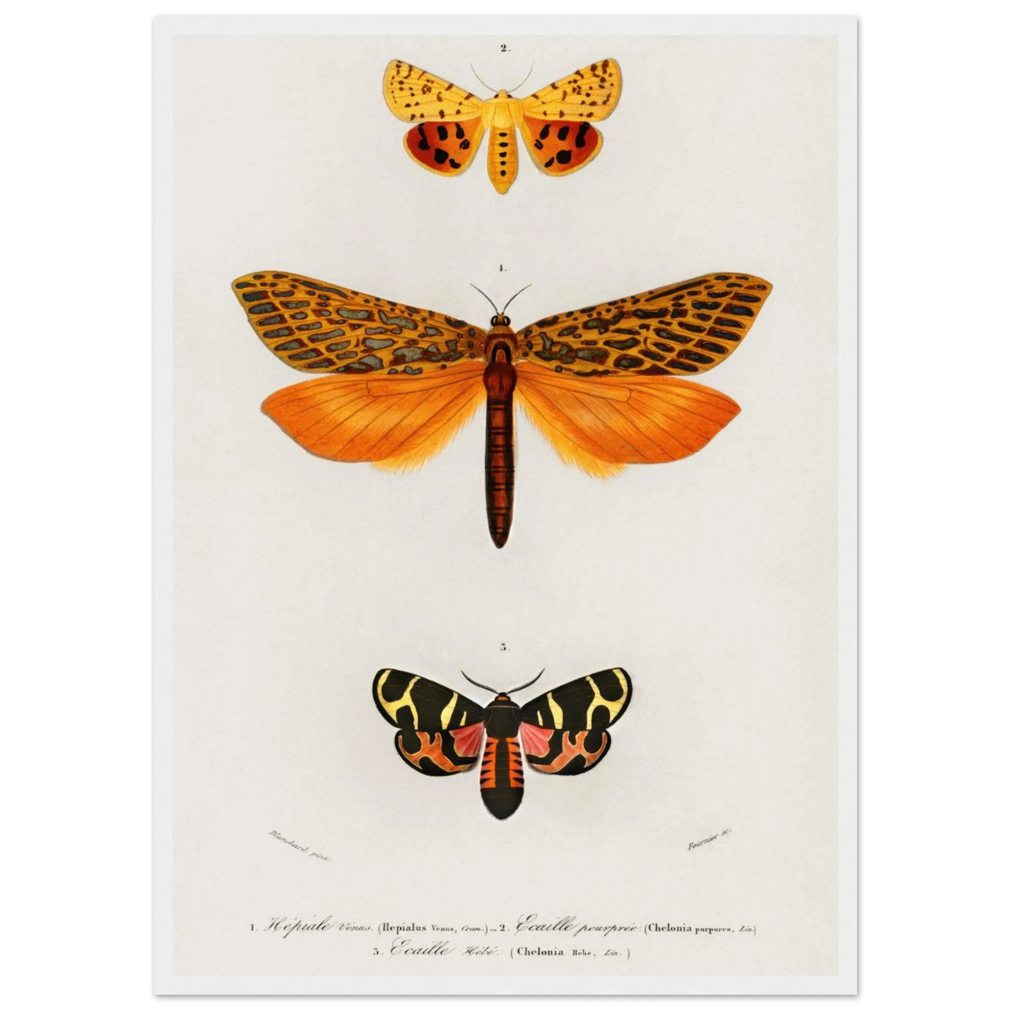 7b2addb1-d99f-4416-ad8e-291a5bf3e451