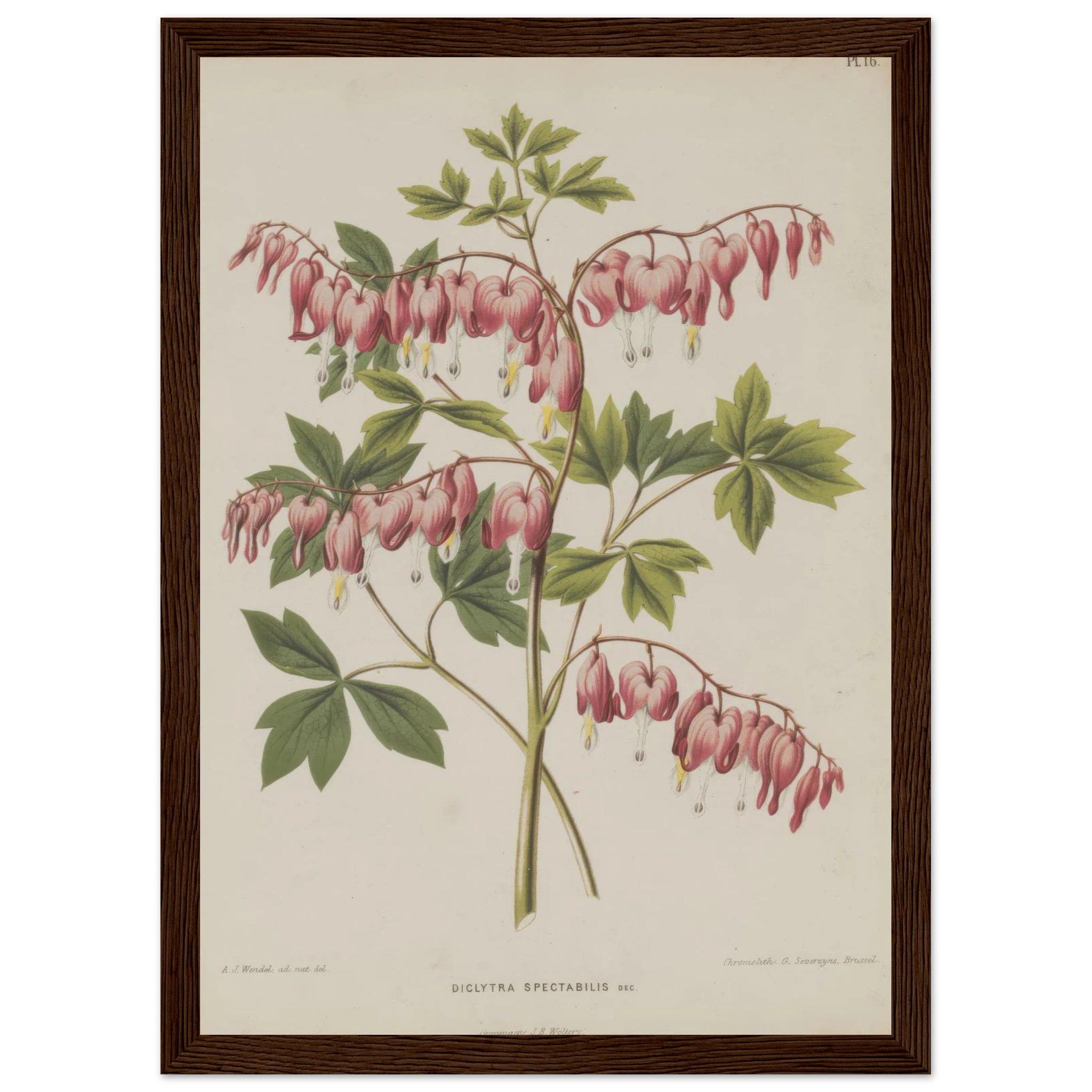 7b5ce497-fc61-4608-8a2e-76a1381a8b0b