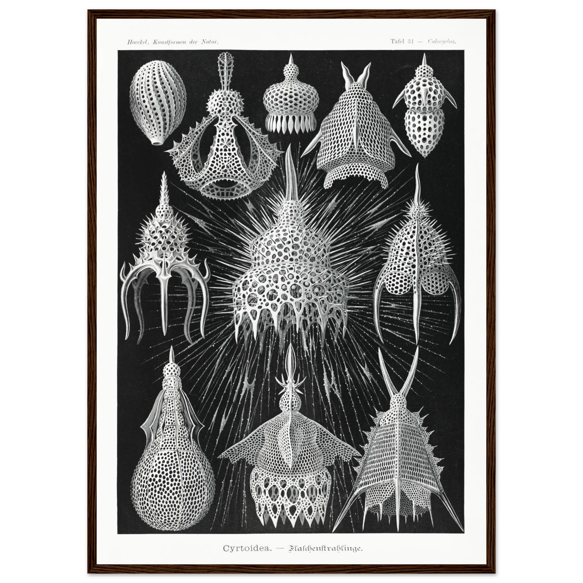 7b5d014b-531a-4114-afc0-13679945430f