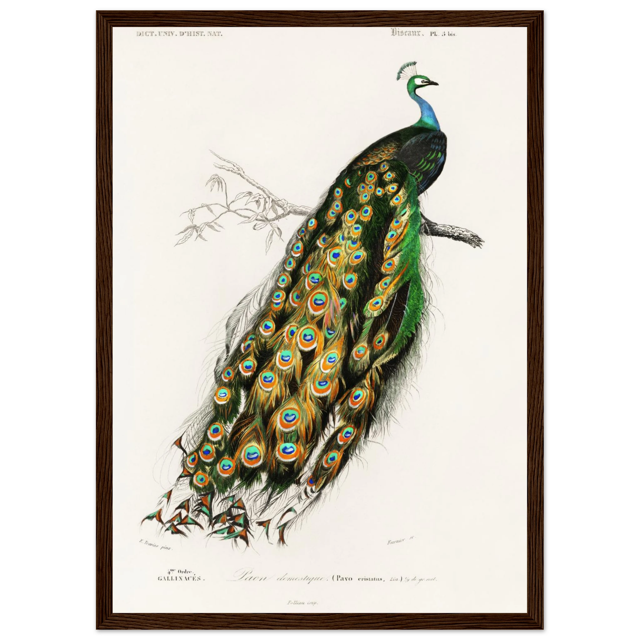 7b90aa29-a474-4e4f-963e-797f0ab2cd84