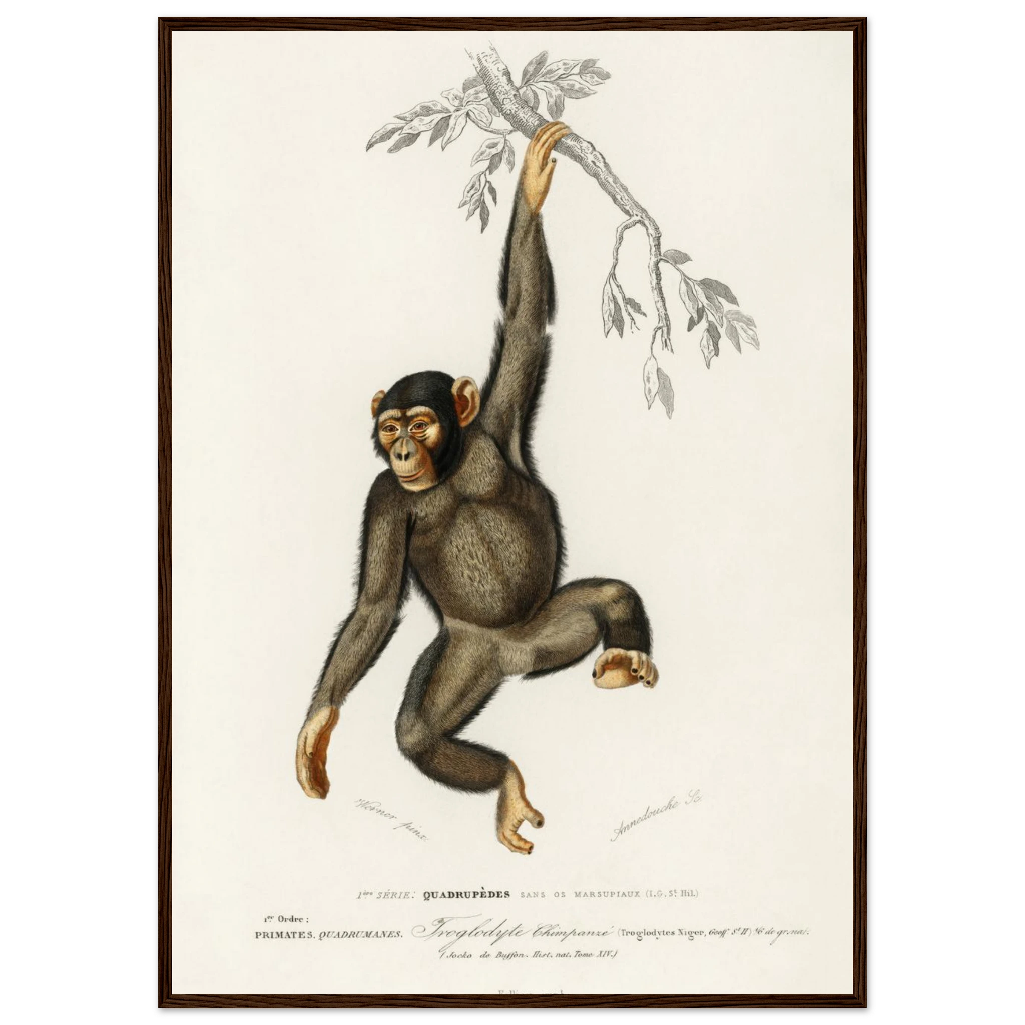 7bc81238-cc7e-41dd-989f-d098955767f9