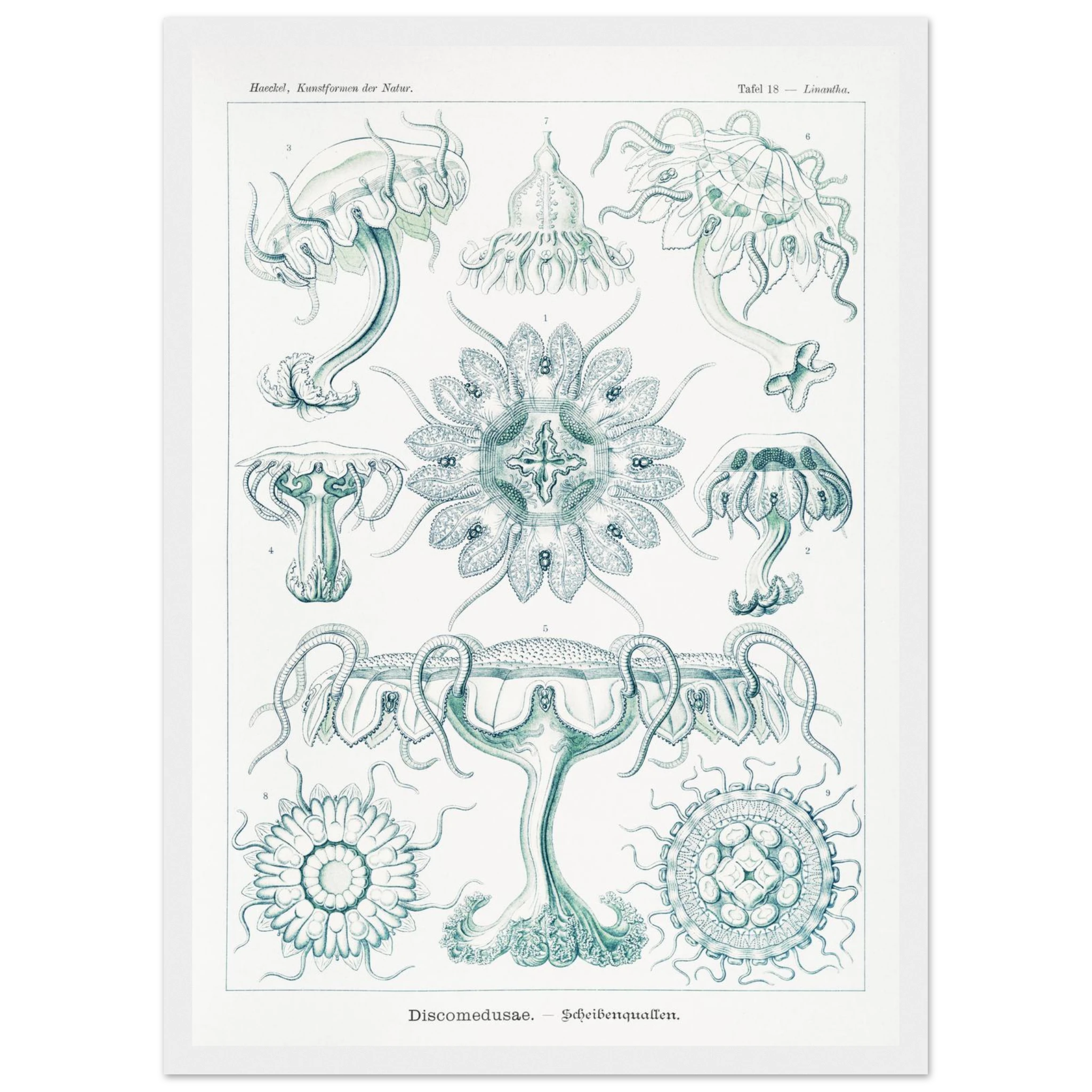 7befce00-62bd-43b8-be58-27801142064a