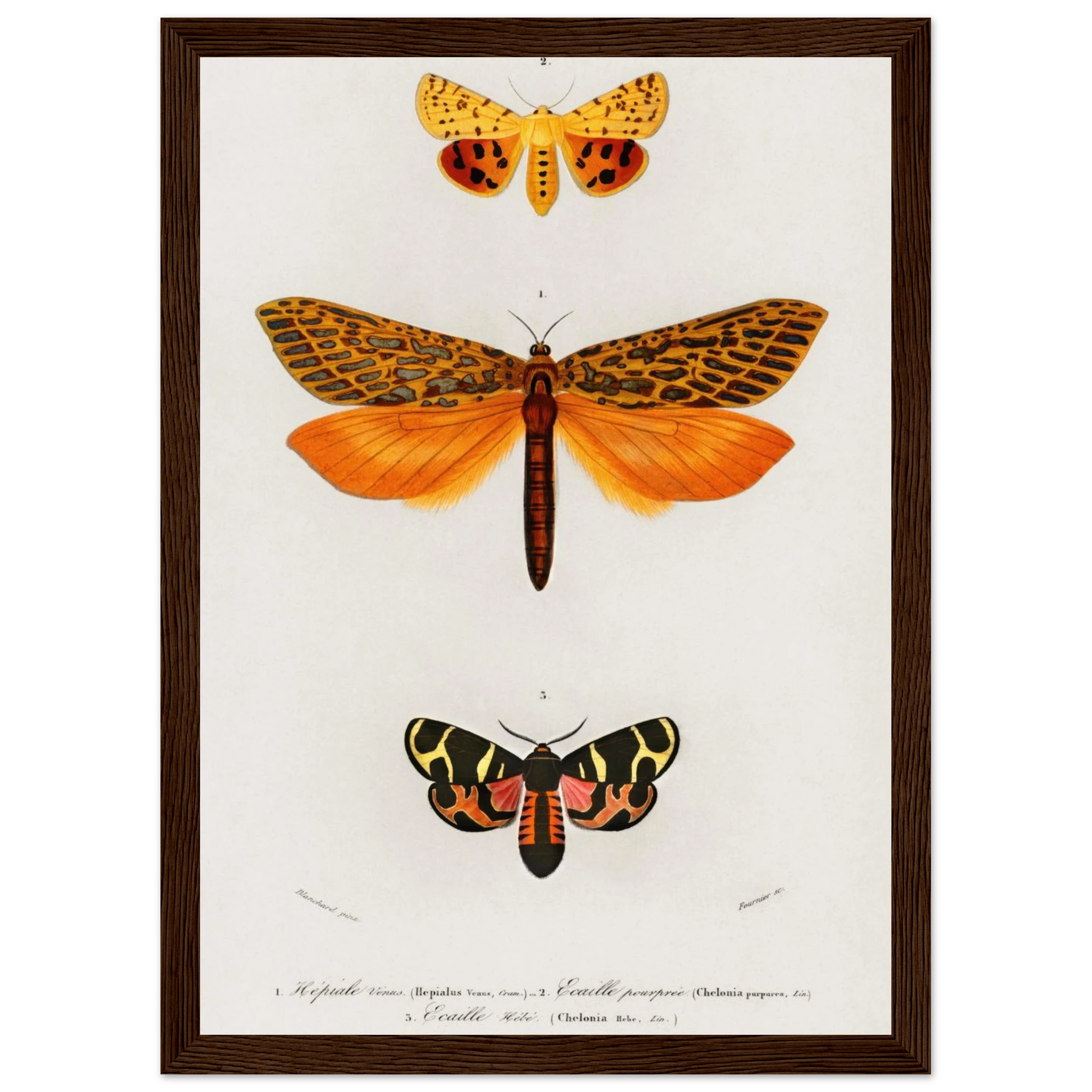 7c5cd692-b501-438b-8e21-1f81a64126a8