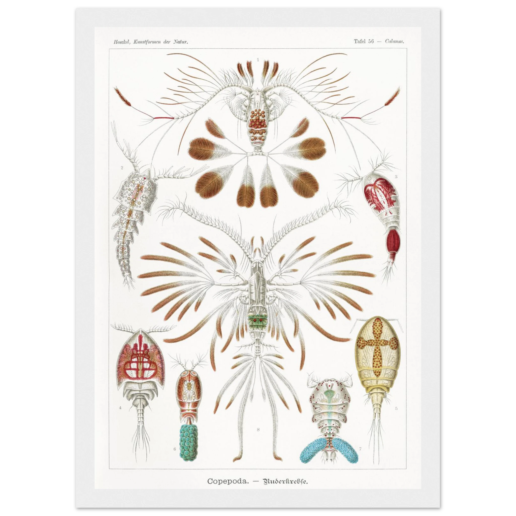 7c80b70e-80d9-4918-a6ea-588de040310a