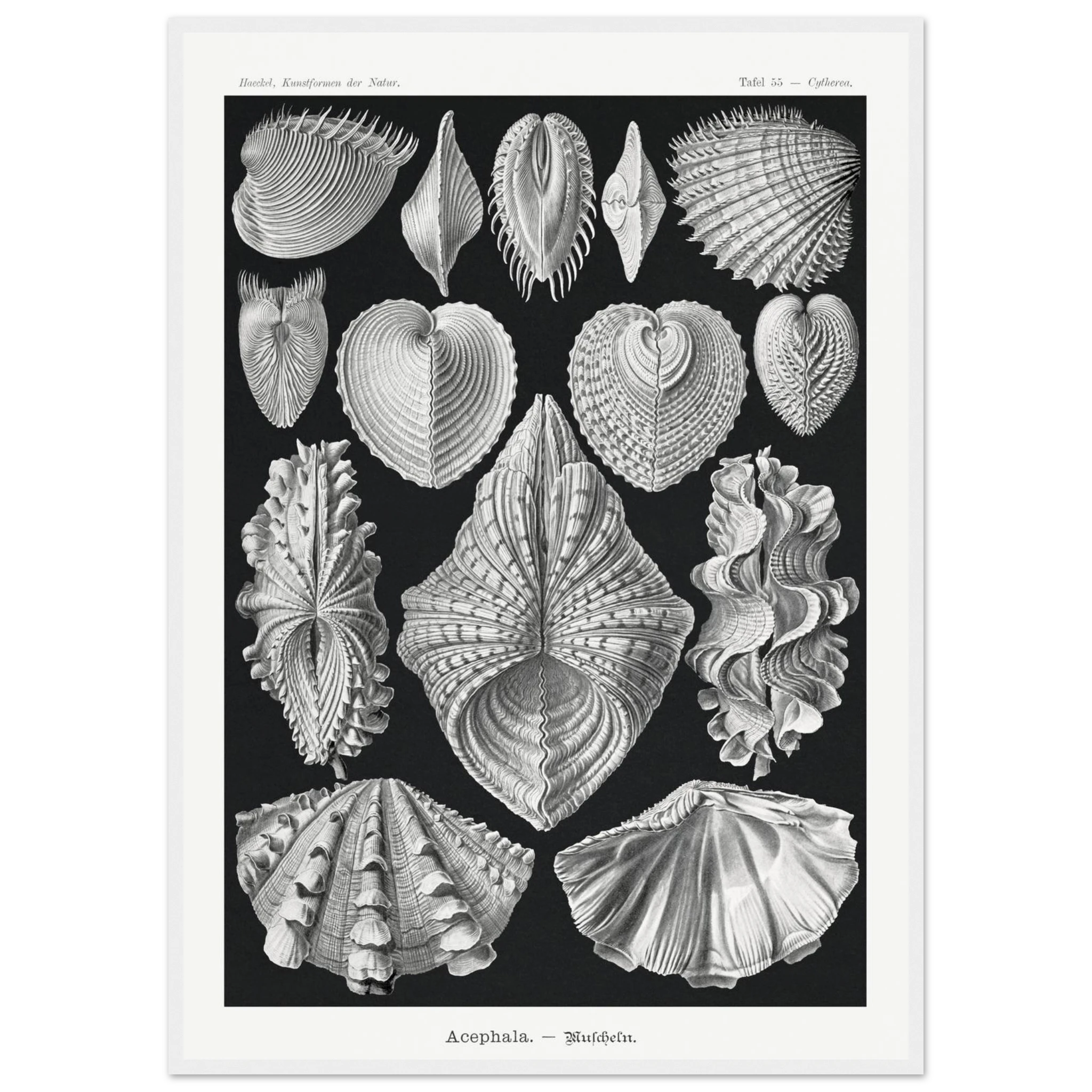 7c82333d-0ff7-49ee-9d03-3b0e4082a676