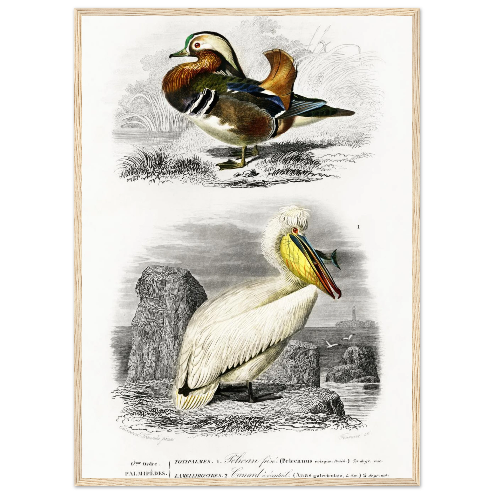 7c8c04a1-9eac-45a1-88ee-2f50ffd12df8