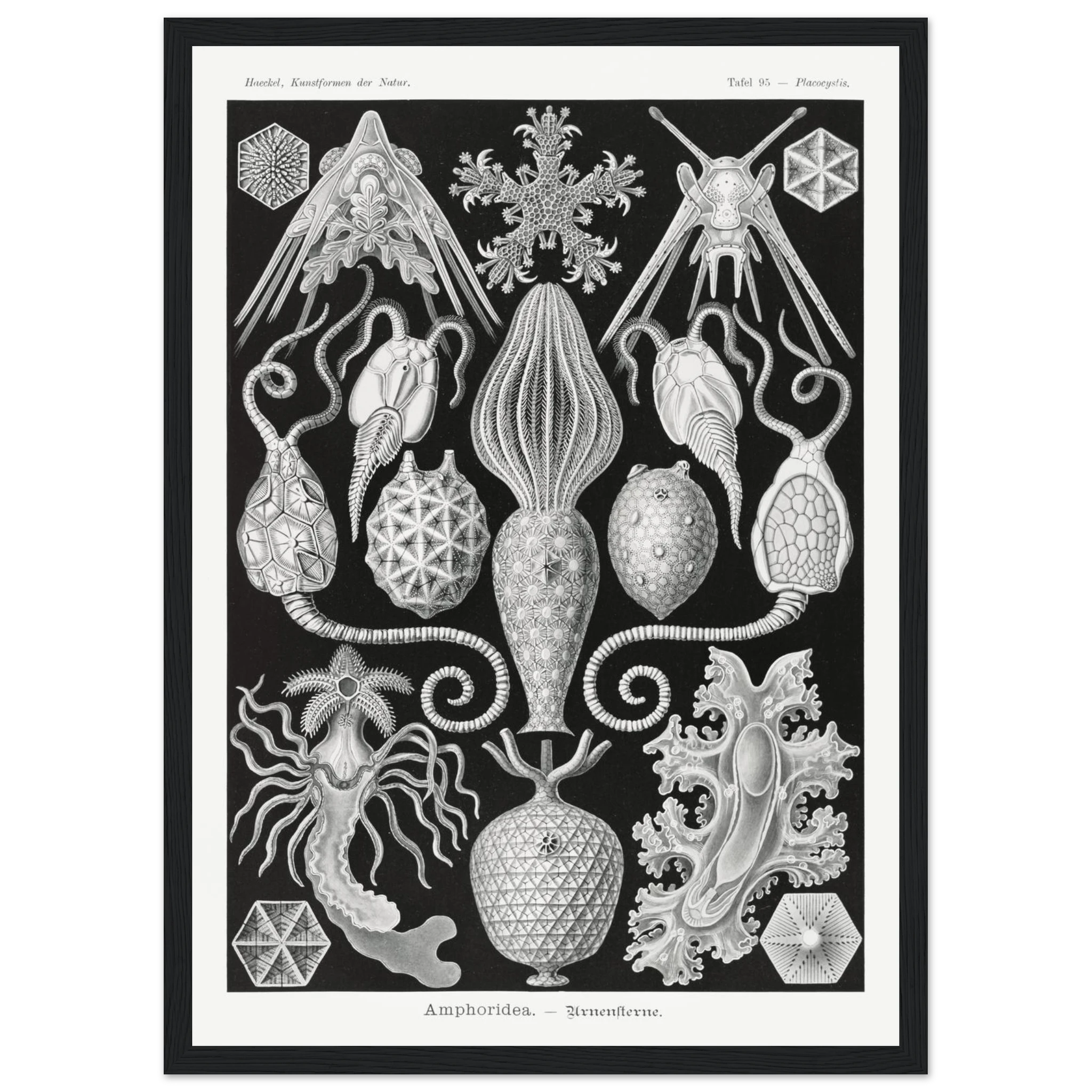 7ce2112a-075a-4181-b645-690f894137e4