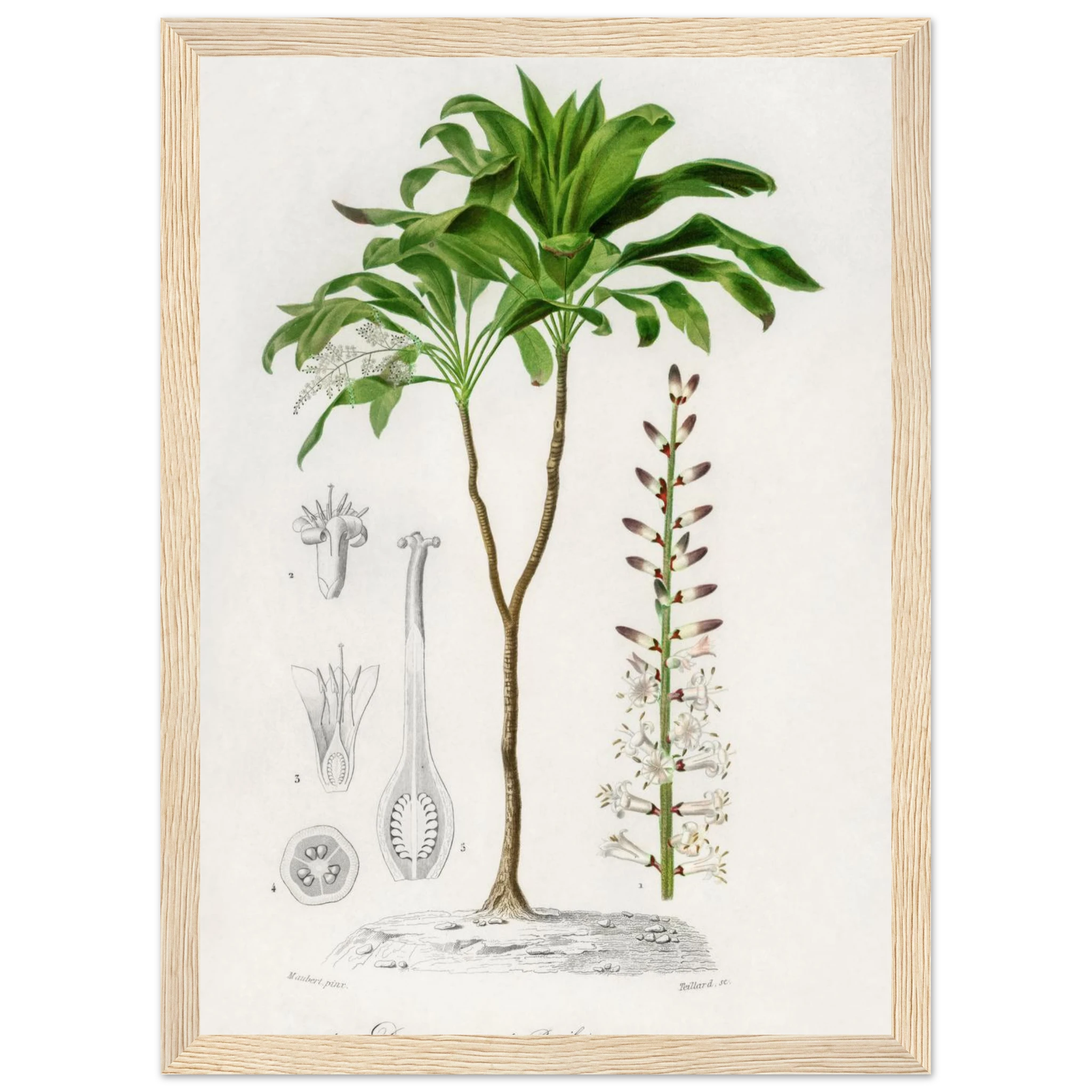 7d141042-518d-4eb1-b132-0ced3e0a8b9a