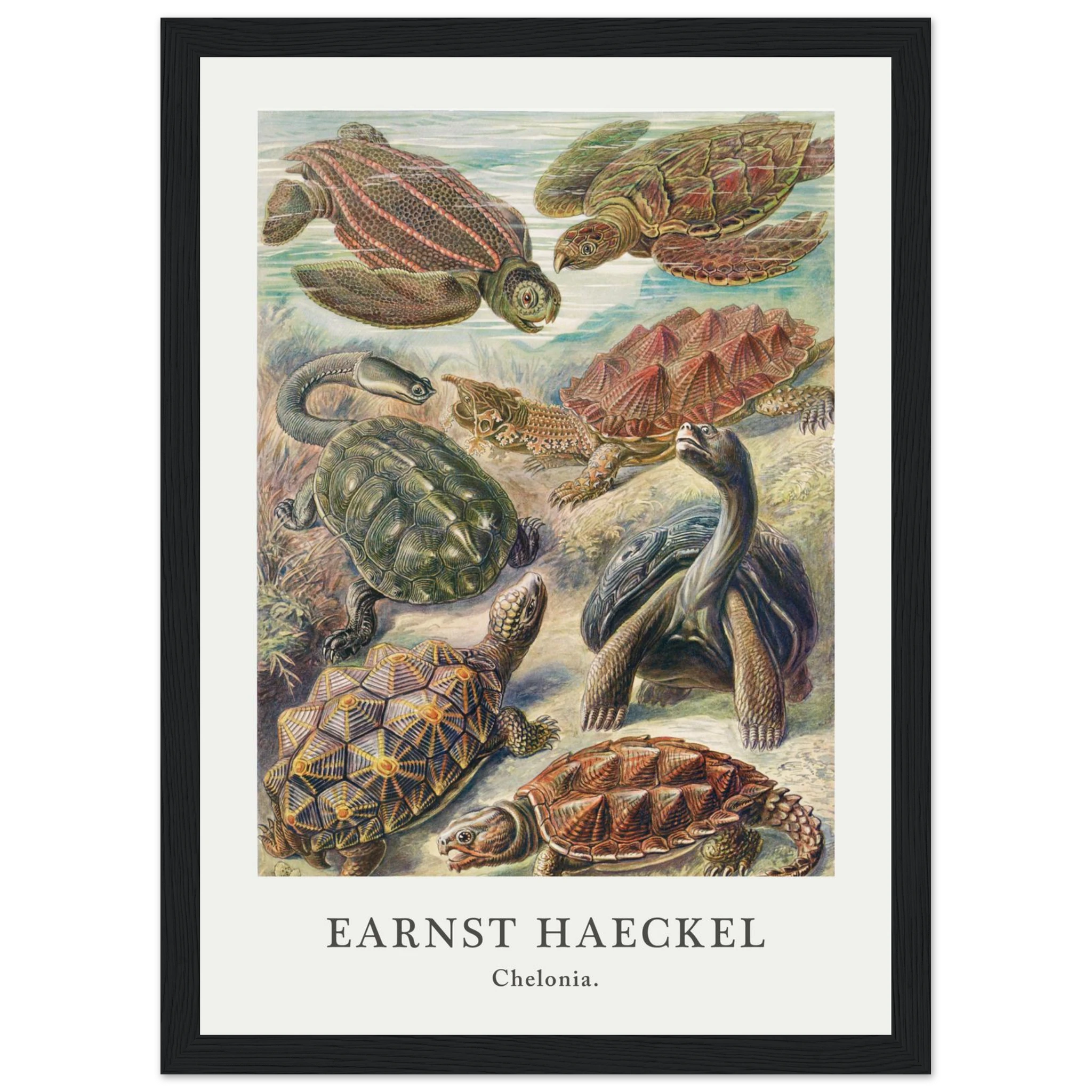 7d1ce8c1-a93a-40a0-aee2-7d40562bccbf