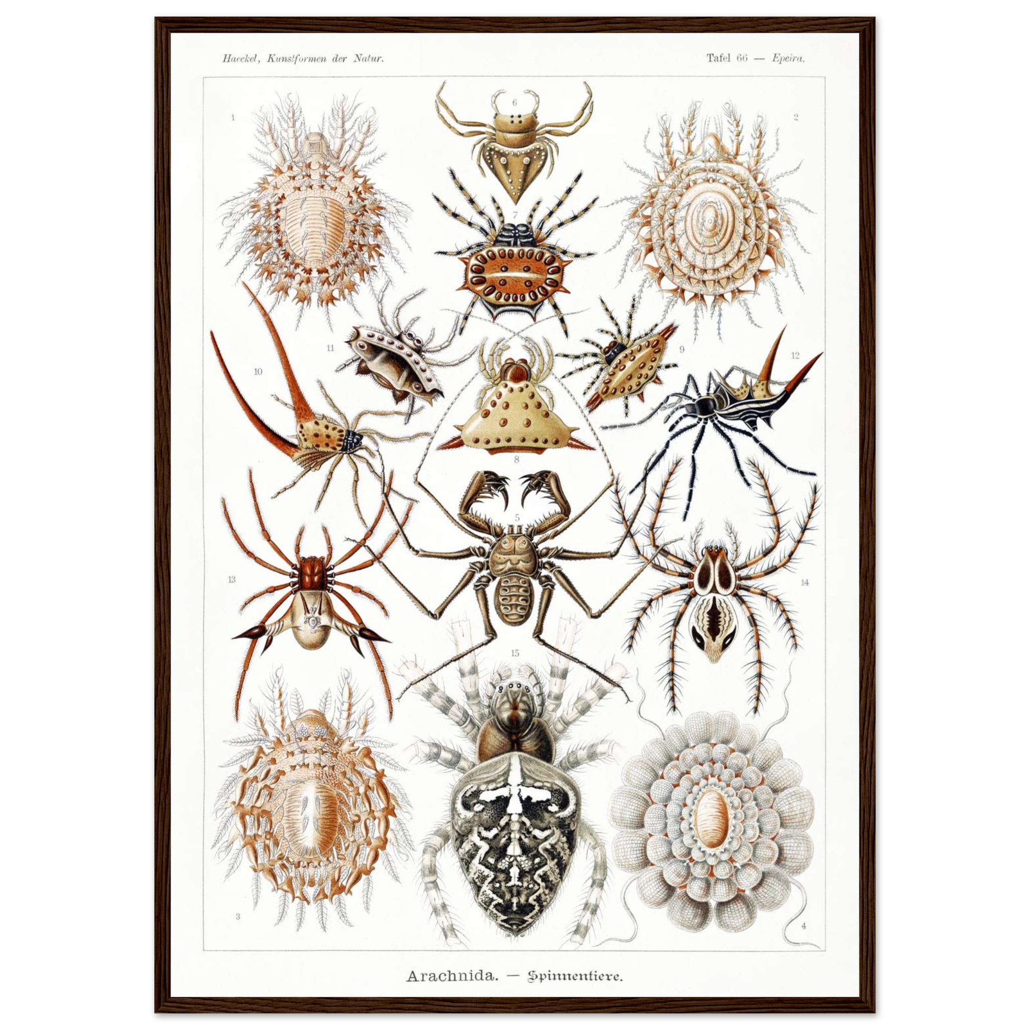 7d22c9af-f2d6-4f17-b689-735fa1626ad6