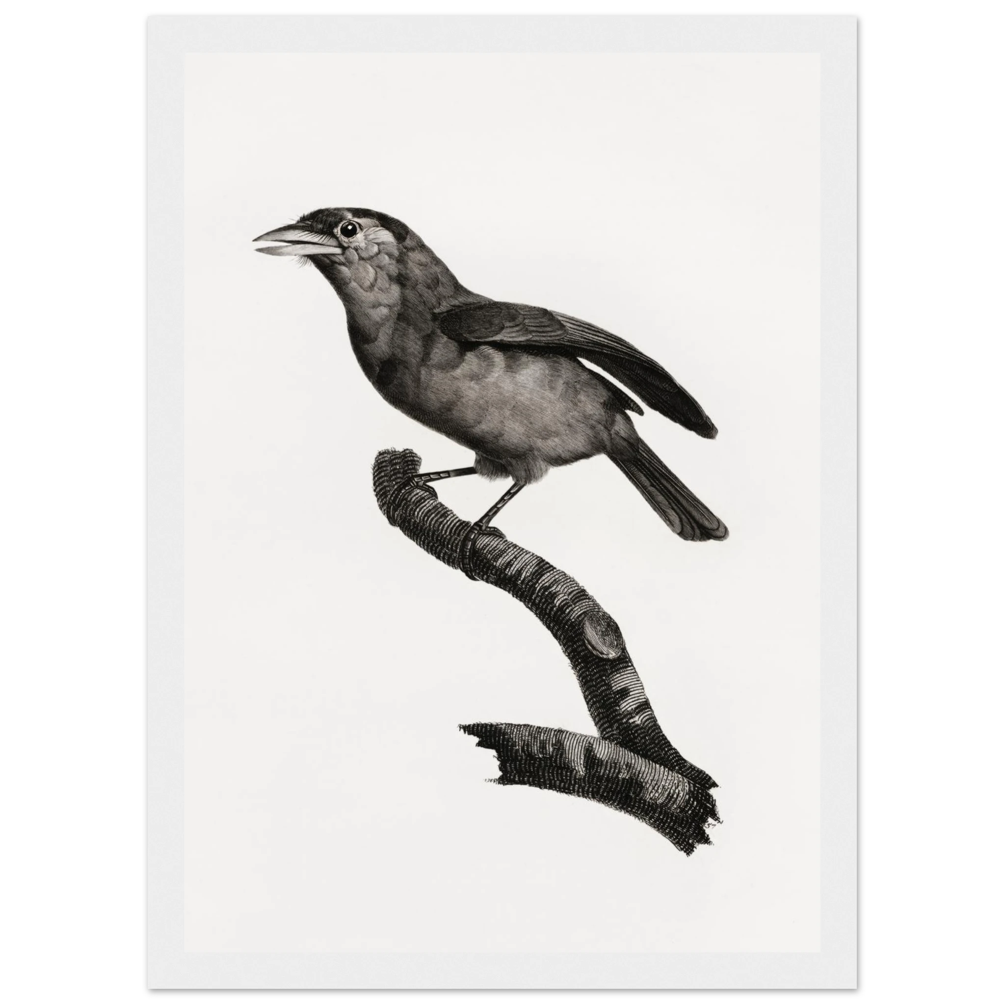 7d4dd39c-a018-4a4c-b443-edca00709a89