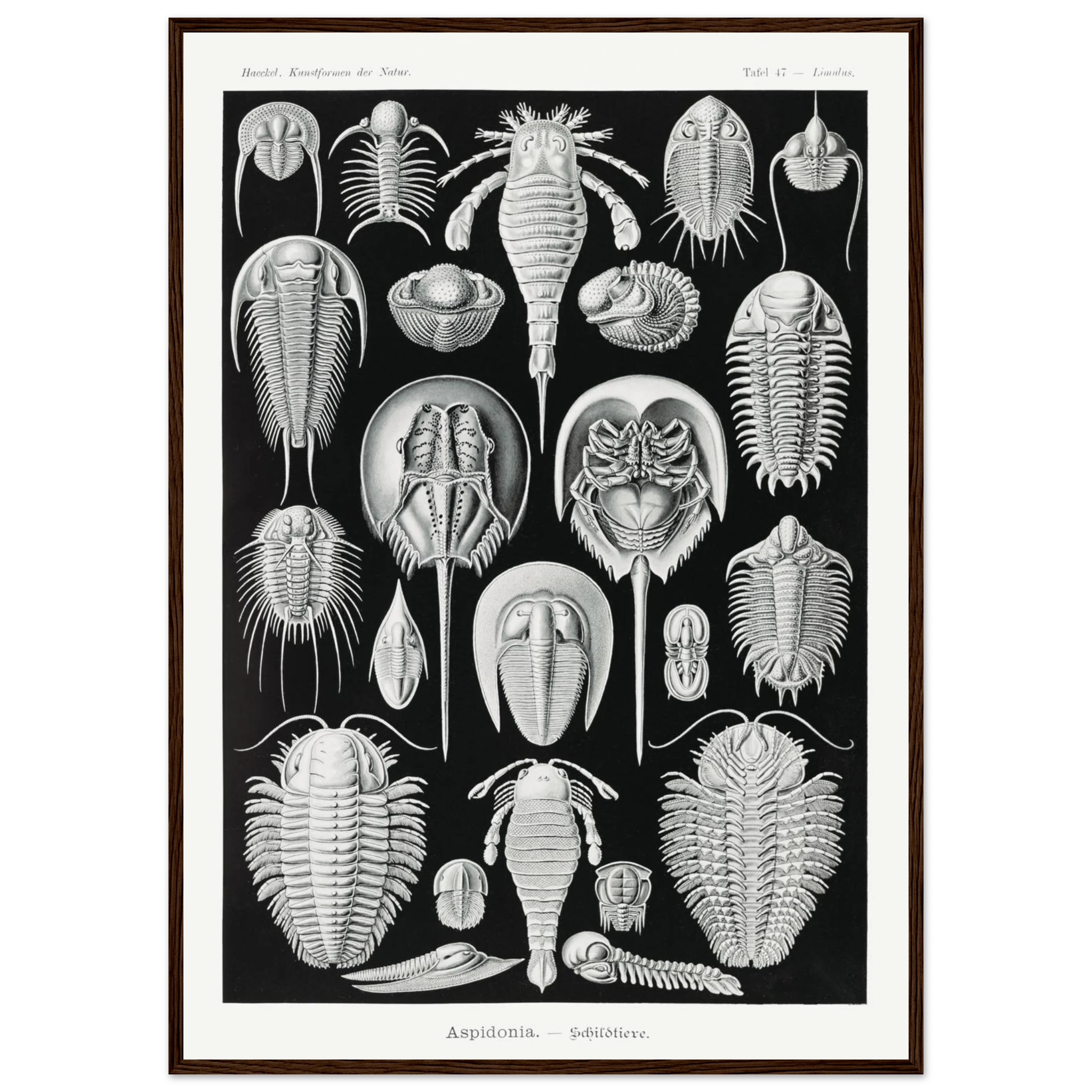 7e046561-01a6-4b7f-99a4-1f1343028b95