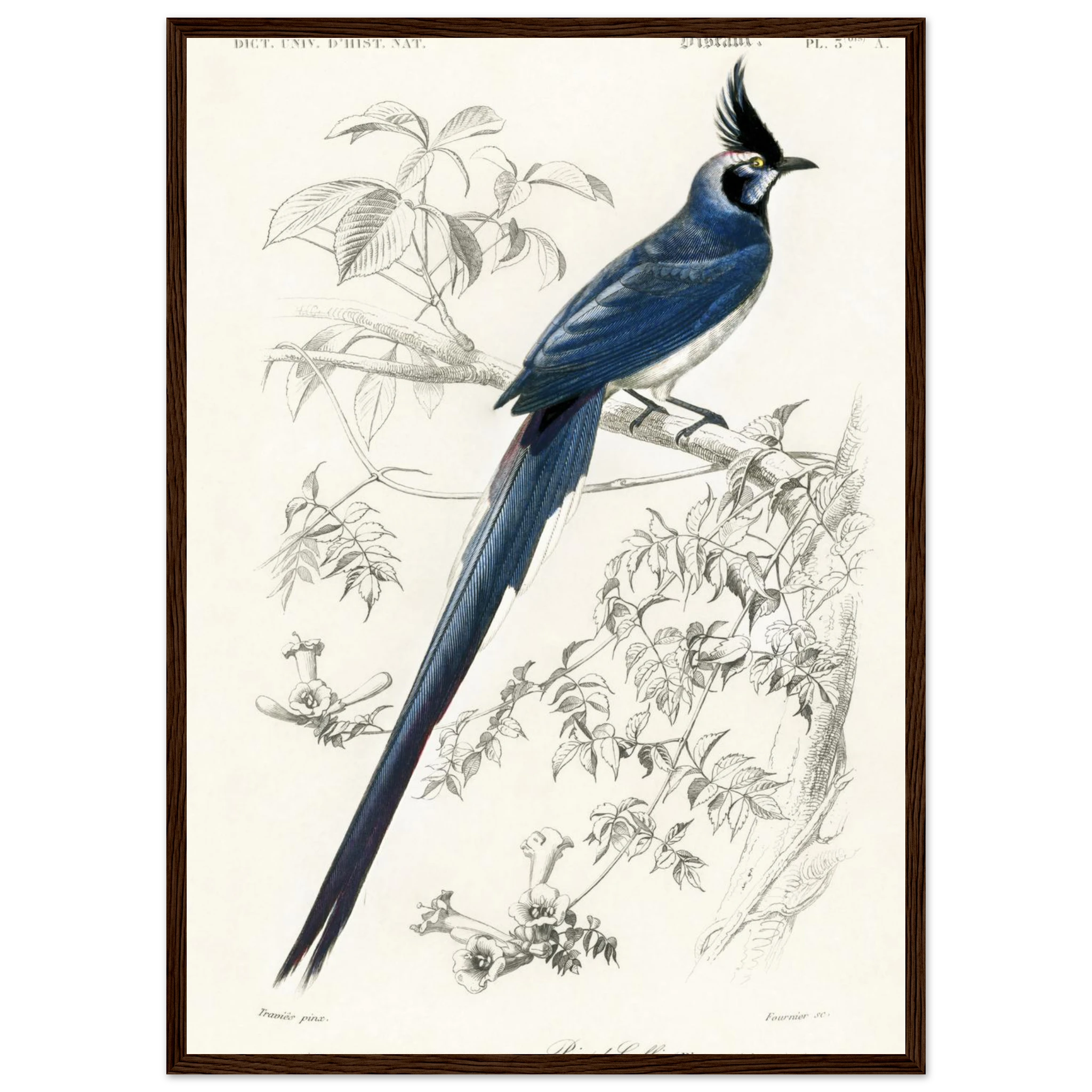 7e4a4d4b-73c0-4467-81dd-4792e9b9a674