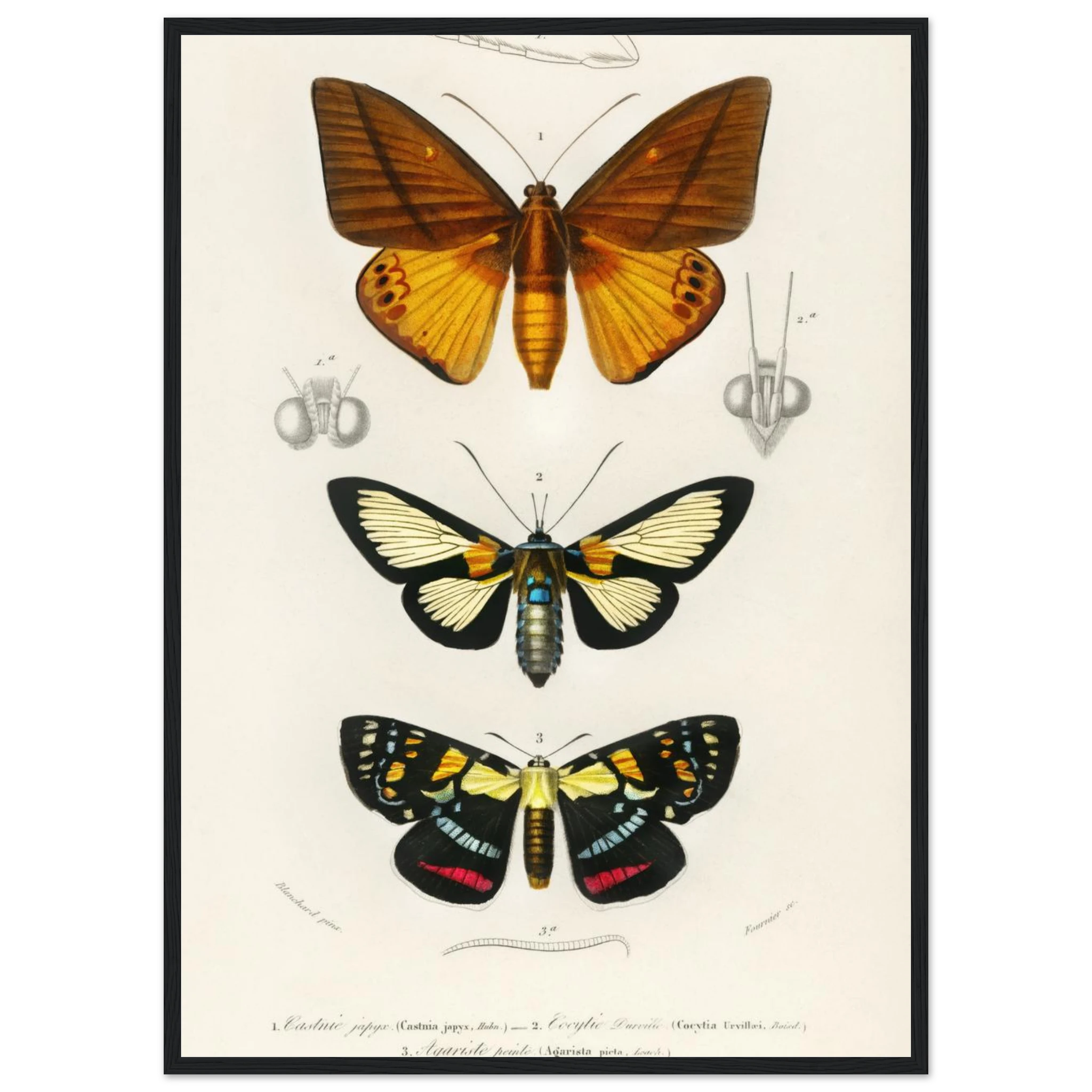 7e71888e-962e-4557-8481-7a9f3a1735fa