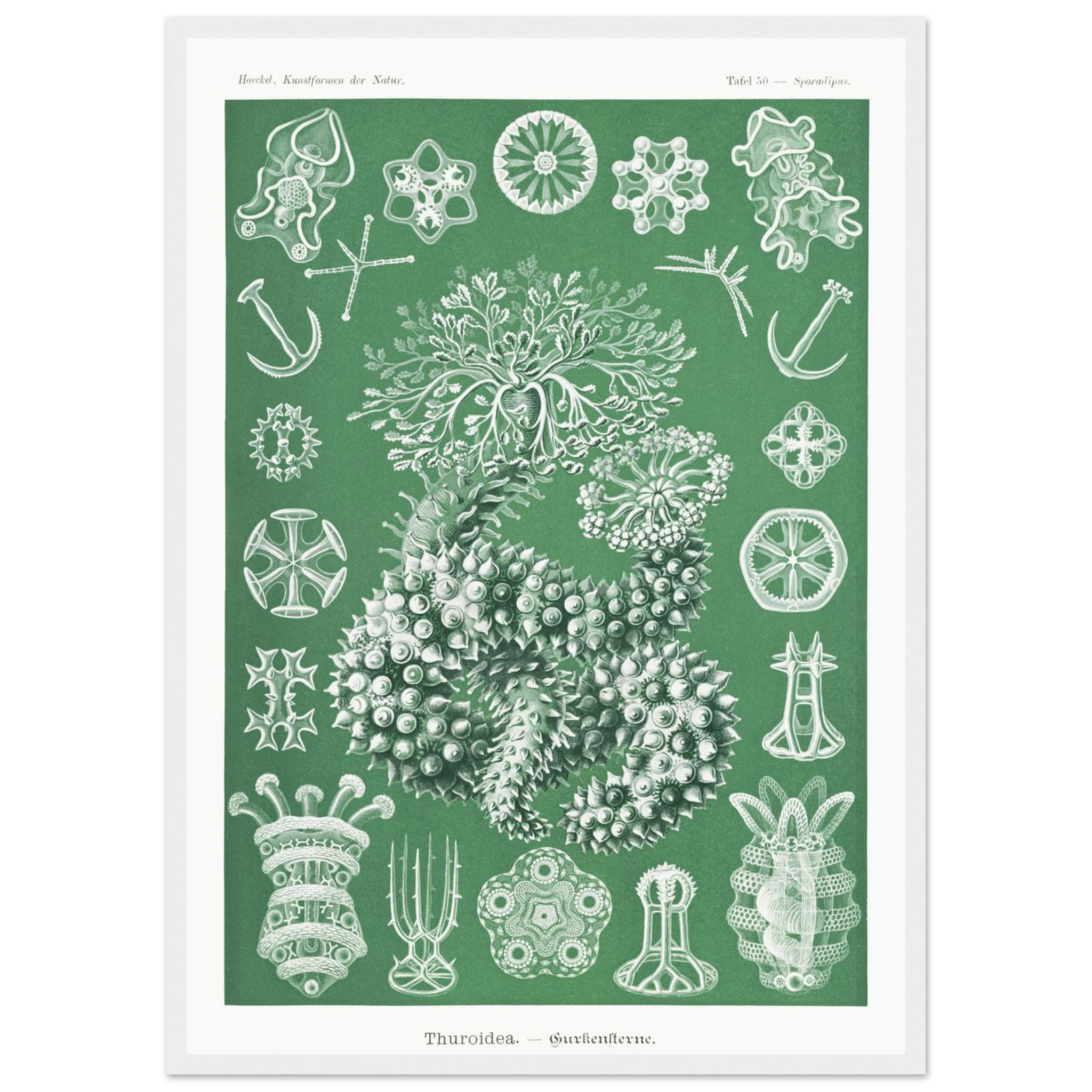 7ef33047-38b8-4a5e-955b-b312fa18cd42