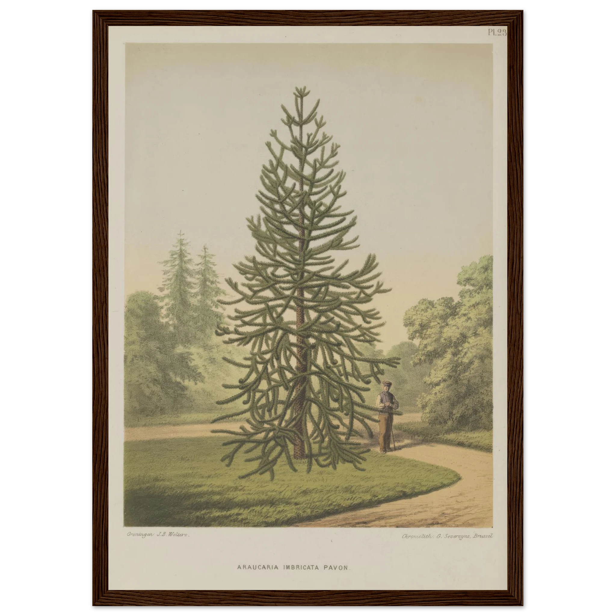 7f3c4d76-098e-46f5-9e85-1e49ed9d1d22