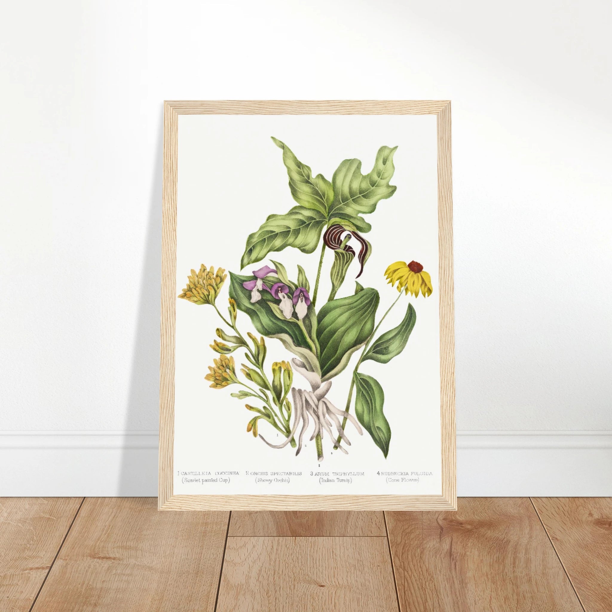 7f4dfe43-aff2-47c1-a909-67436ee3226a