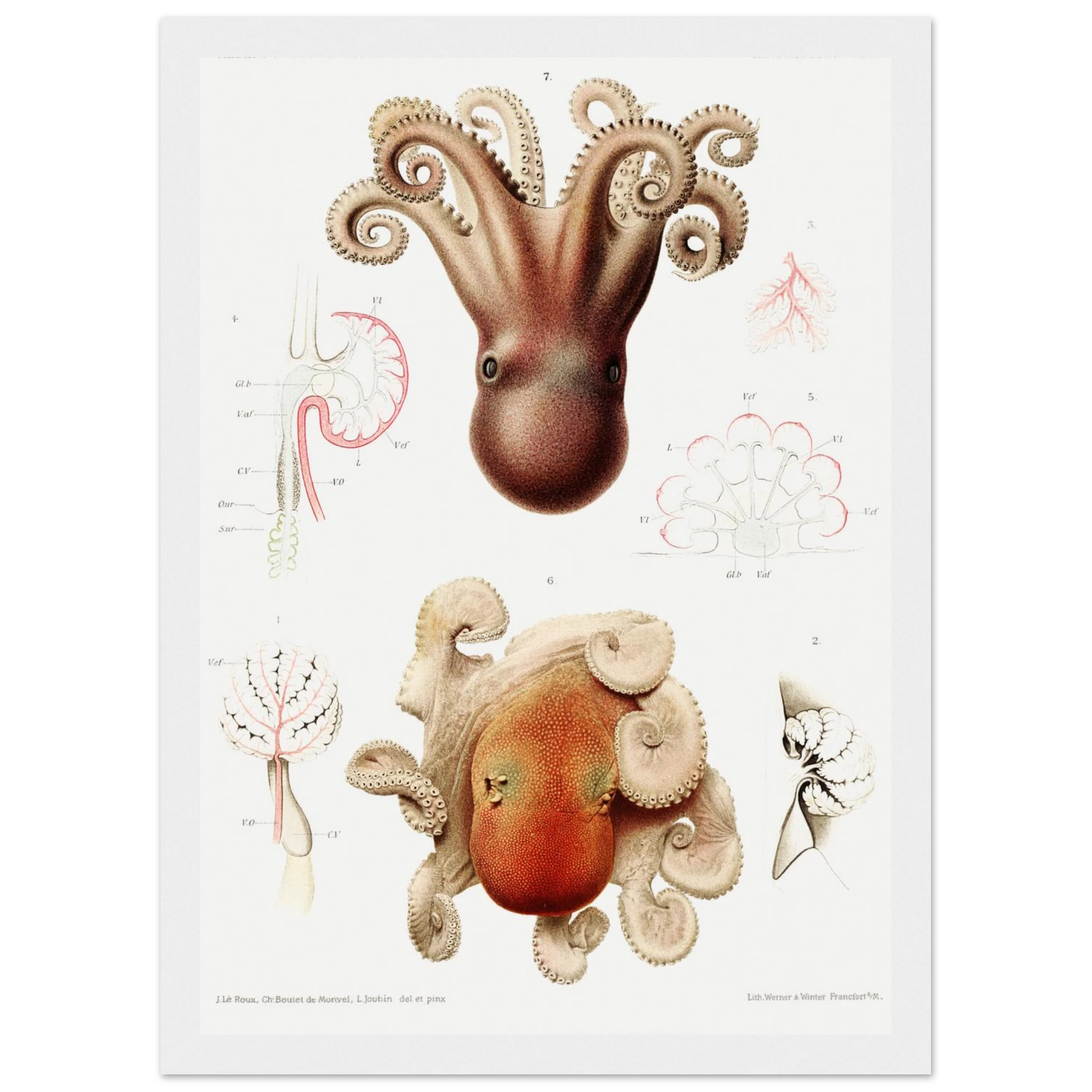 7f97656f-3c79-465f-9252-df6099ced11e