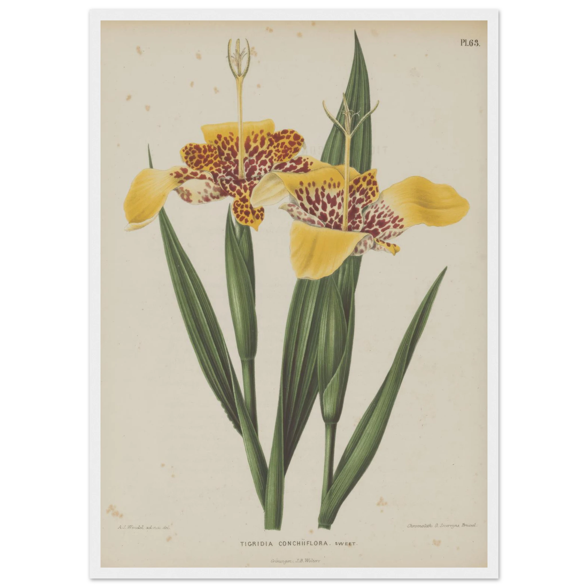 7fab9474-ed59-4847-9073-deeab4723c89