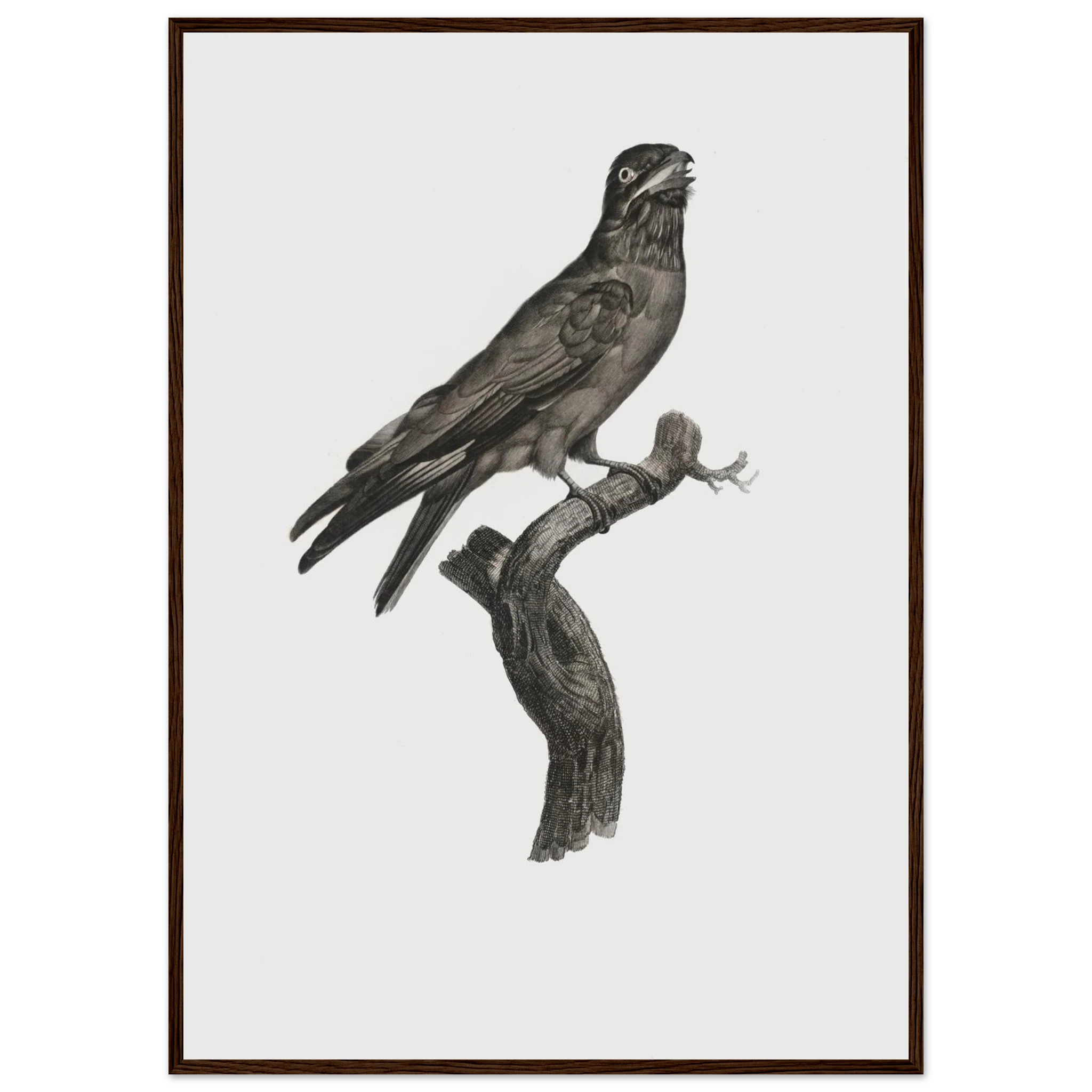 801e5a54-7f56-4087-ad6b-183bd6559e7f