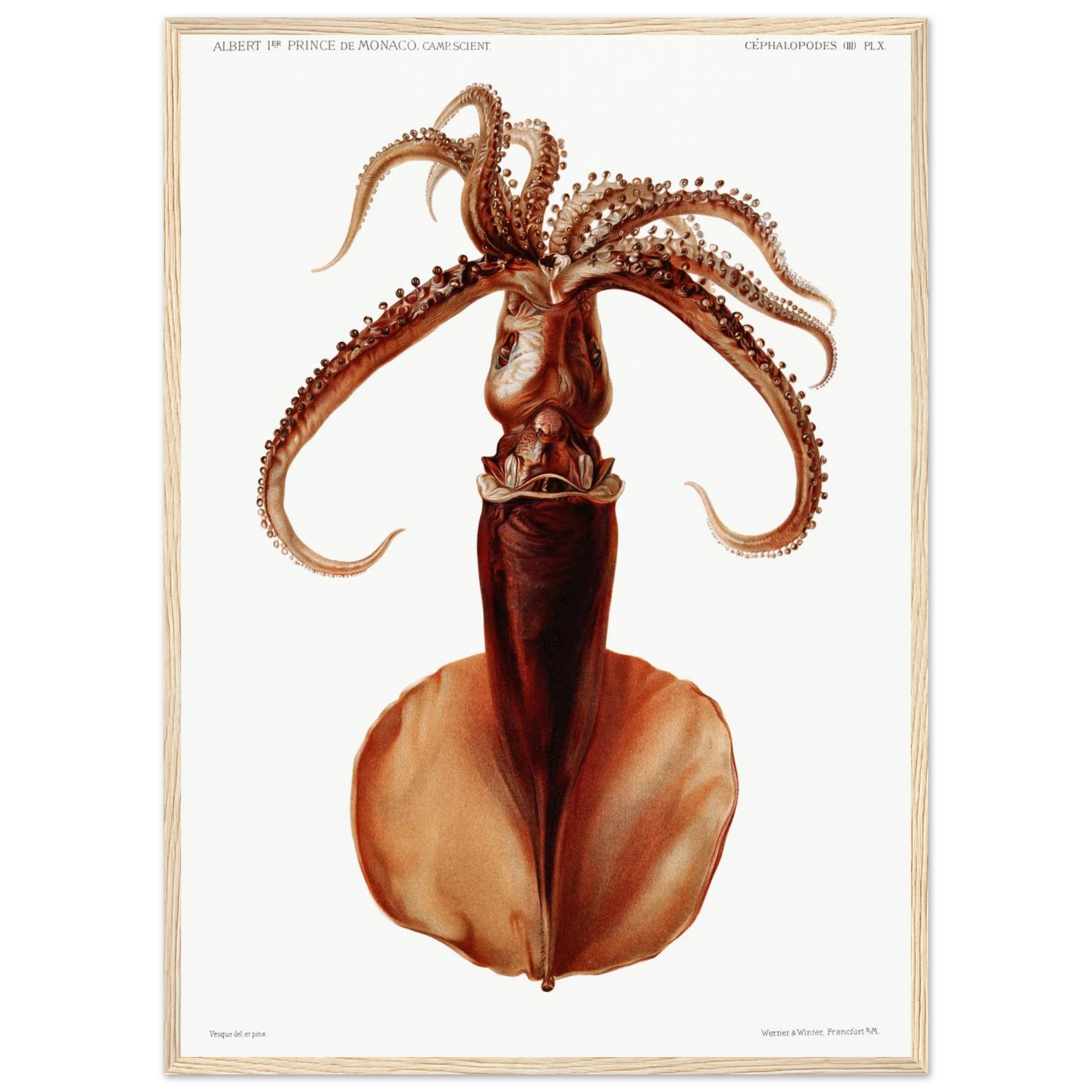 8058fc0c-aecd-49d2-8d1c-adf612607c15