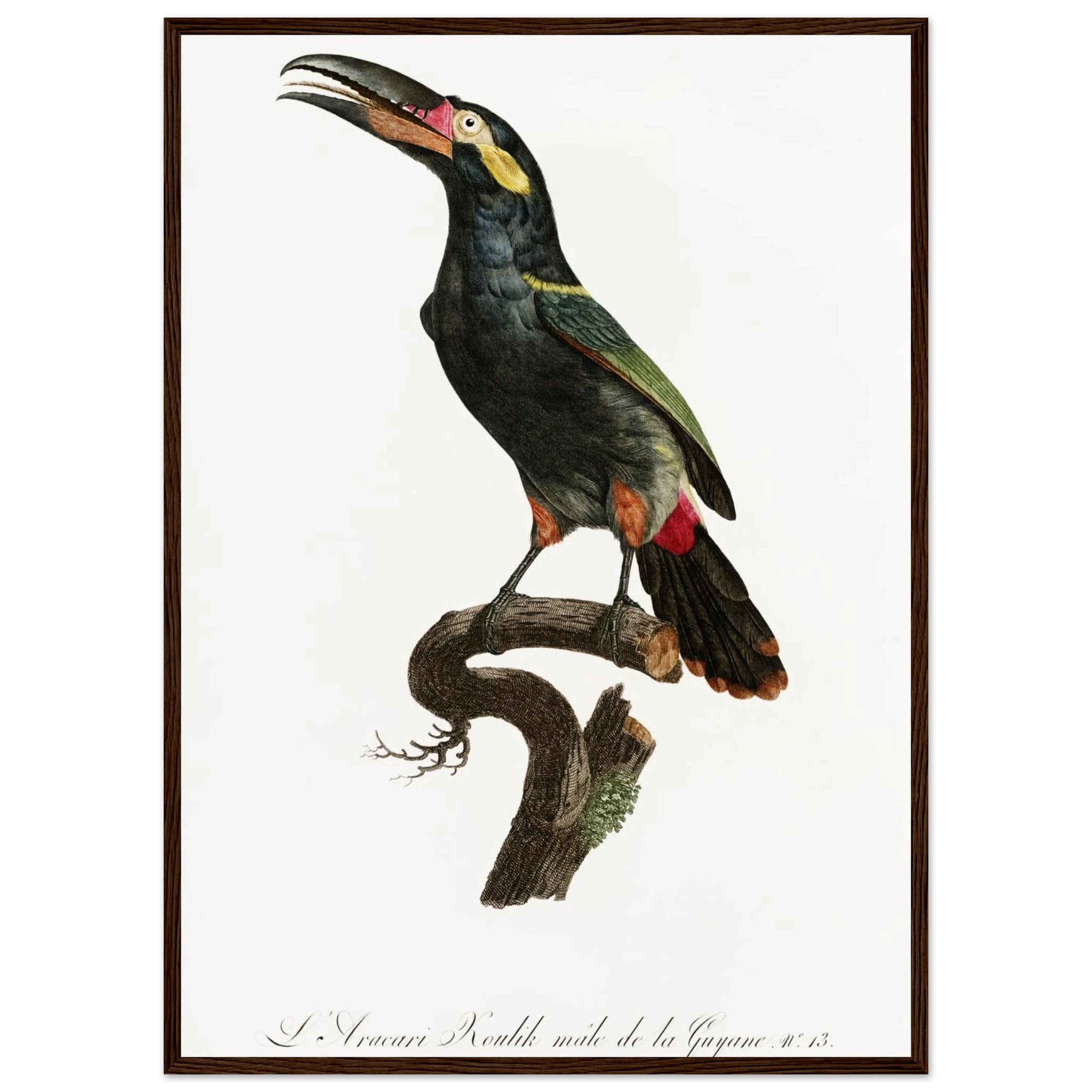 805cb109-25a0-40f1-85f1-5790f042d732