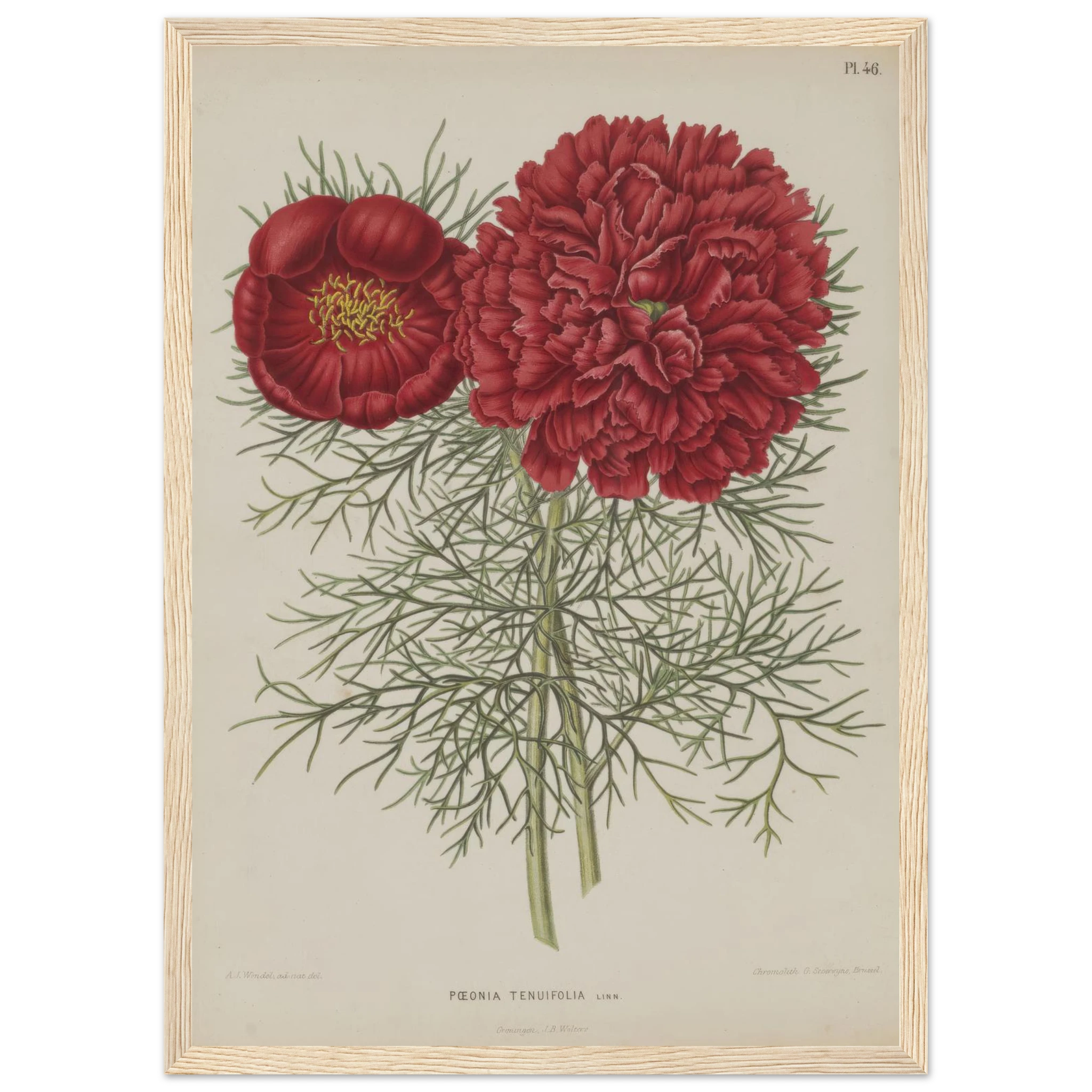 808fb710-f441-4945-89cb-0fb87615223e